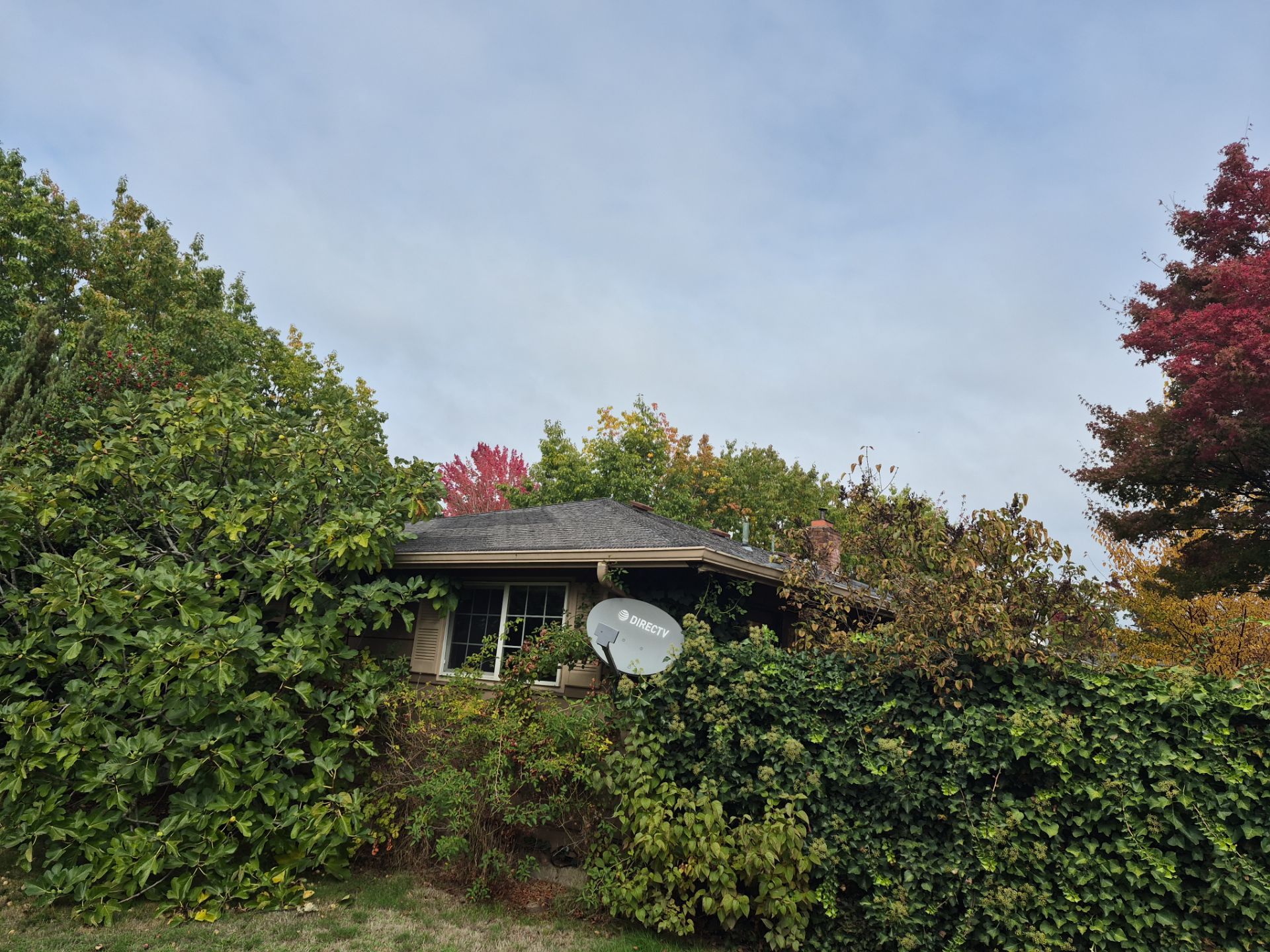 Project in Albany by Alamo Roofing