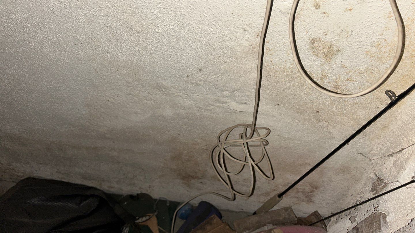 Mold Remediation by Accountable Home Services