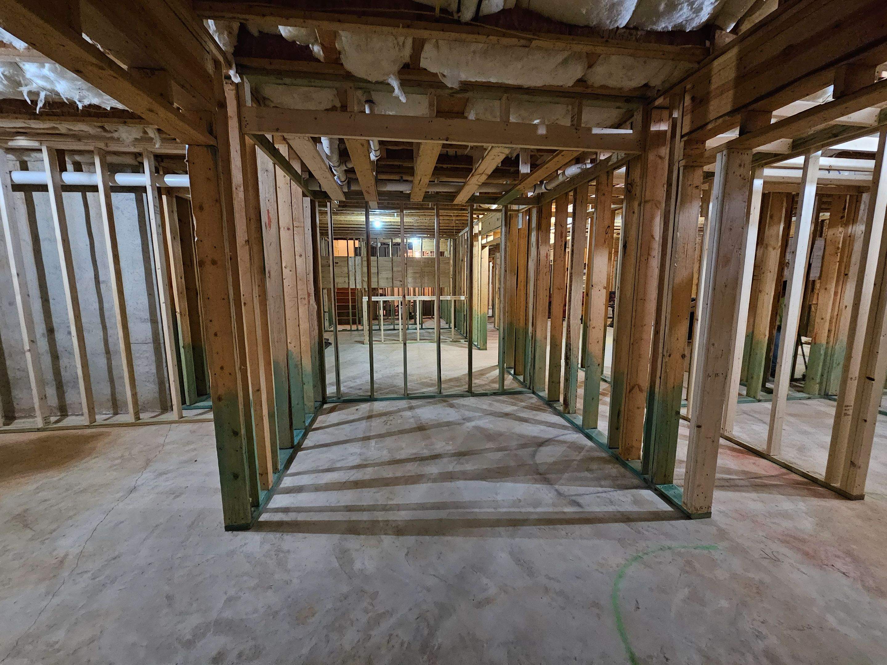 Palmetto Basement by Ajayi Design and Construction 