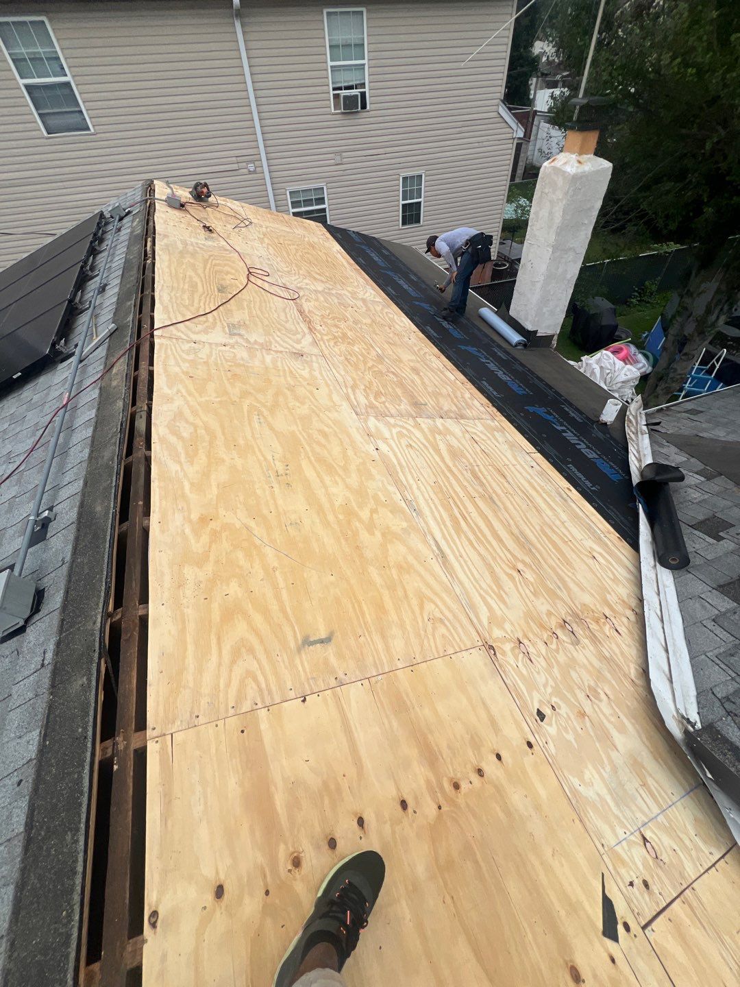 Silver Birch Shingles by Reimagine Roofing