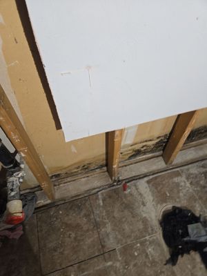 Project in Thornton
