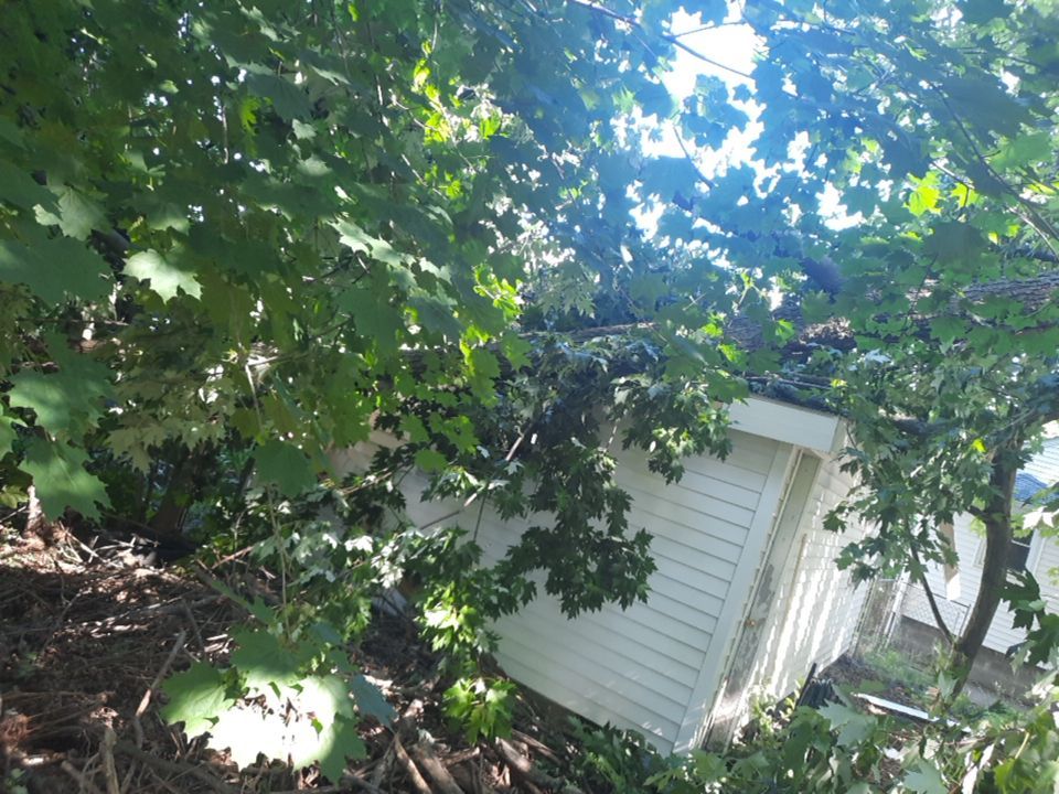 Storm Damaged Tree Removal  using Tree Removal by Mike Jones & Sons Tree Service LLC 