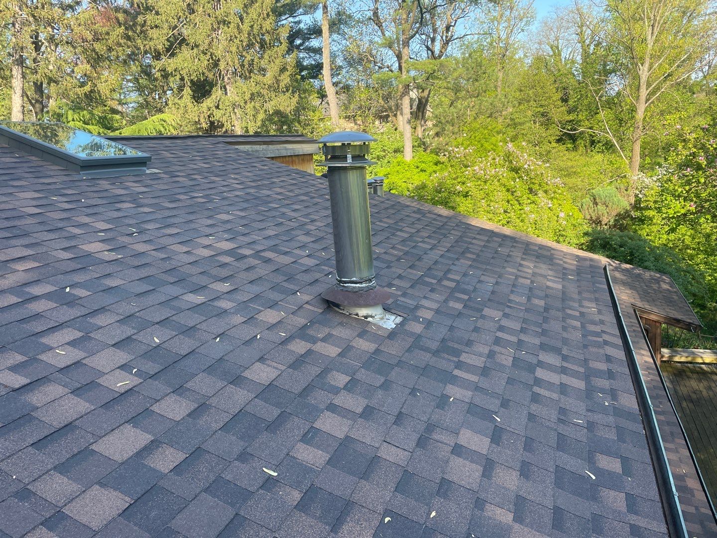 Roof Replacement w/ Skylights in Baltimore, MD (IKO Dynasty) by American Home Contractors