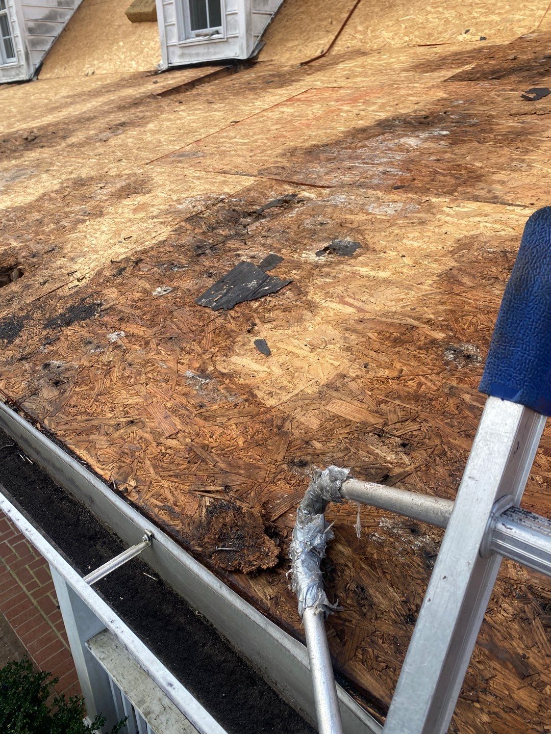 Project in Creedmoor - Certainteed Landmark Silver Birch by Pro Performance Roofing