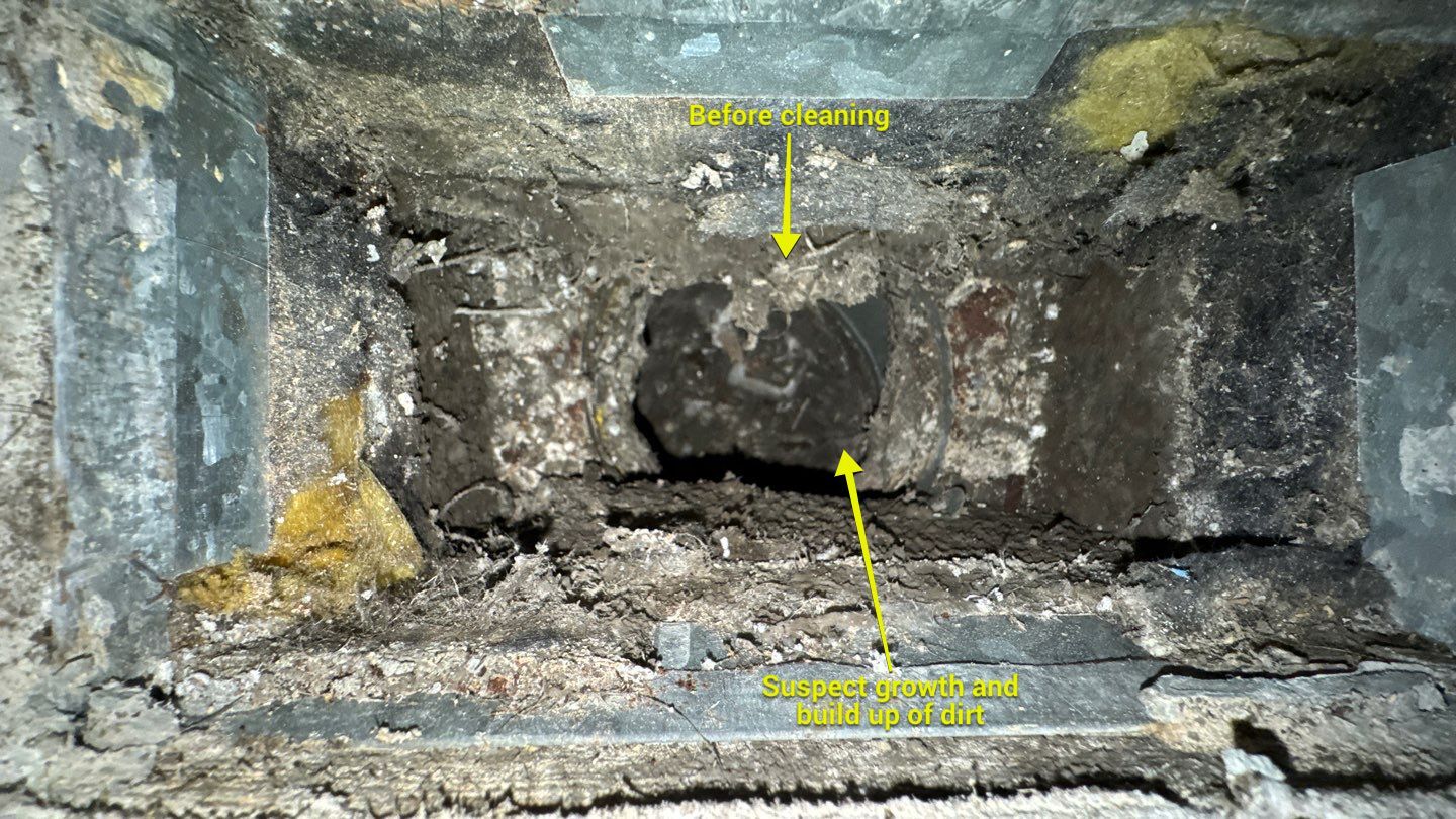 Extremely Dirty Air Duct Cleaning in Fruitland Park by Hygienic Air, Inc