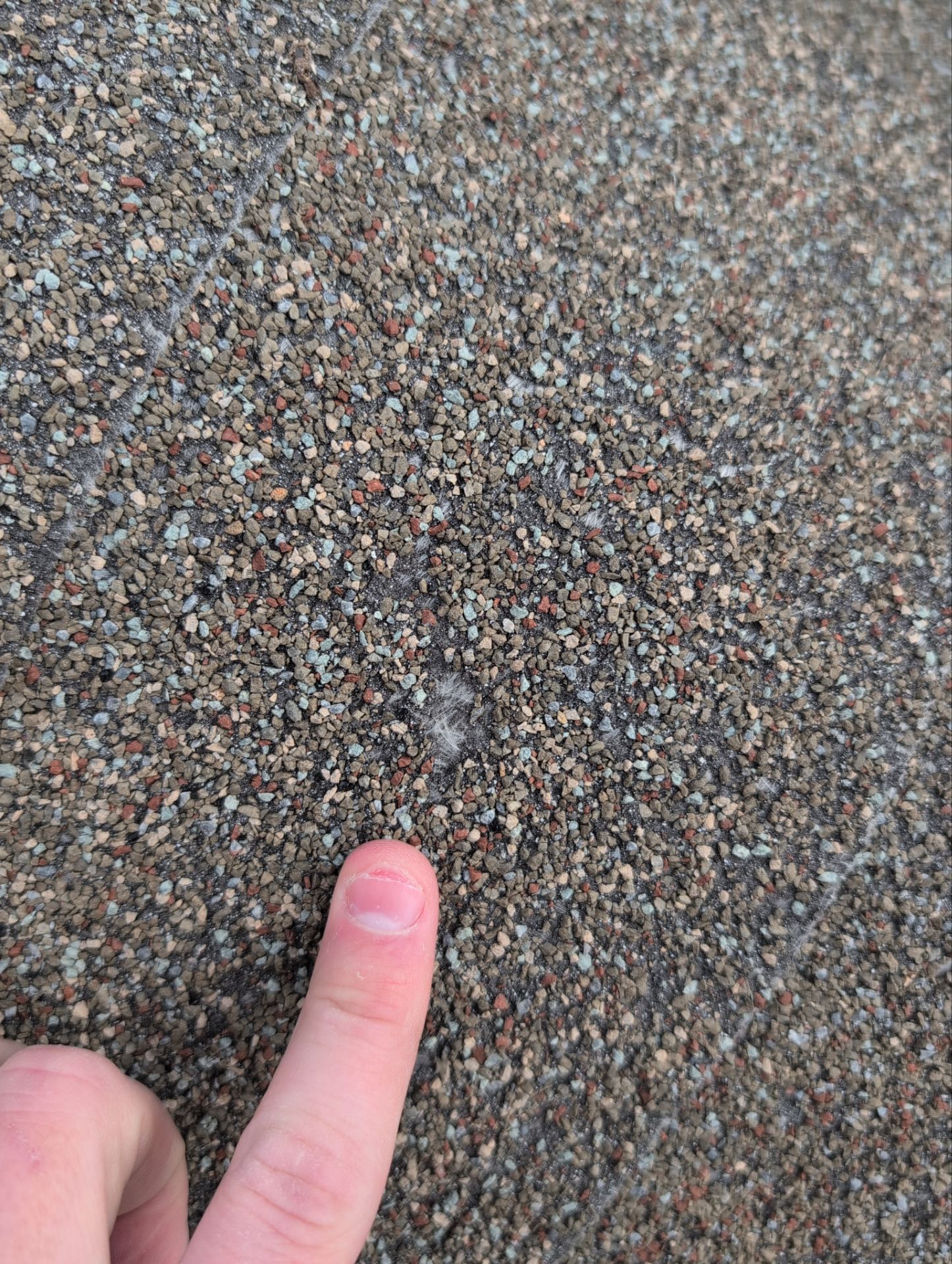 Roof Replacement & Seamless Gutters in Ozark by Table Rock Design + Build