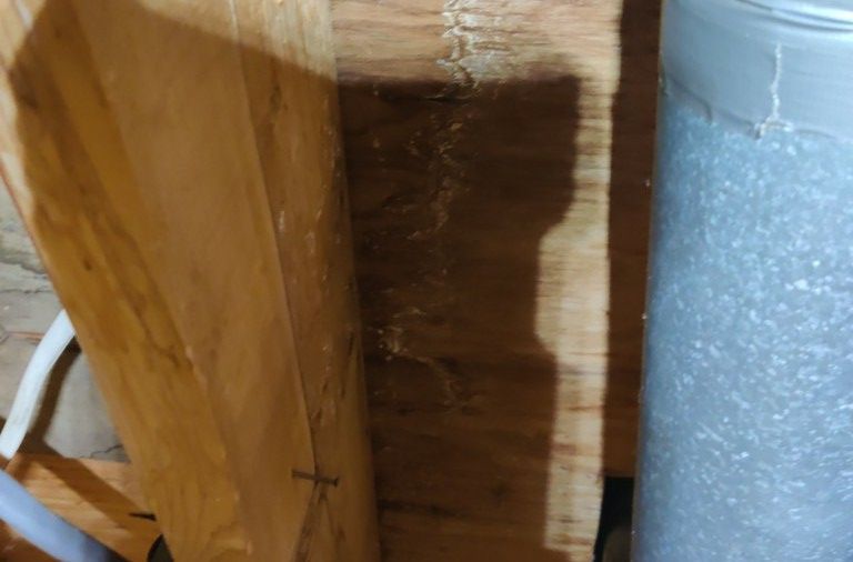 Mold Remediation using Containment by Accountable Home Services