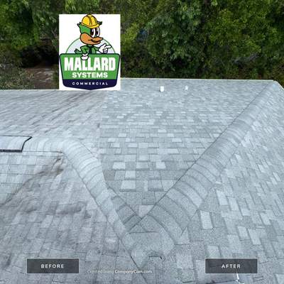 Shingle Roof Cleaning