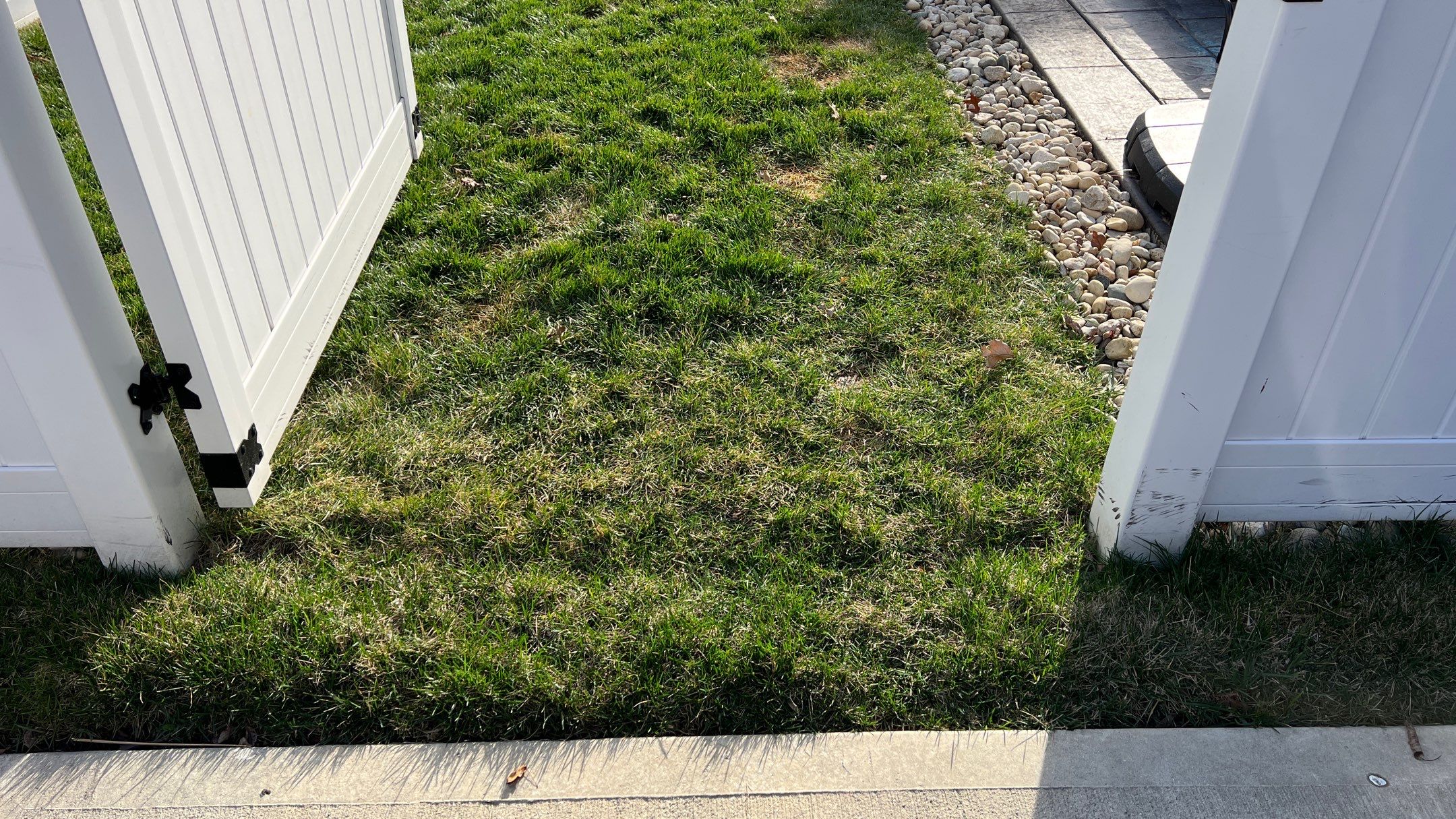 Synthetic Turf Installation using Pet Champ Synthetic Turf by Reisenberg’s Lawn & Landscape, LLC