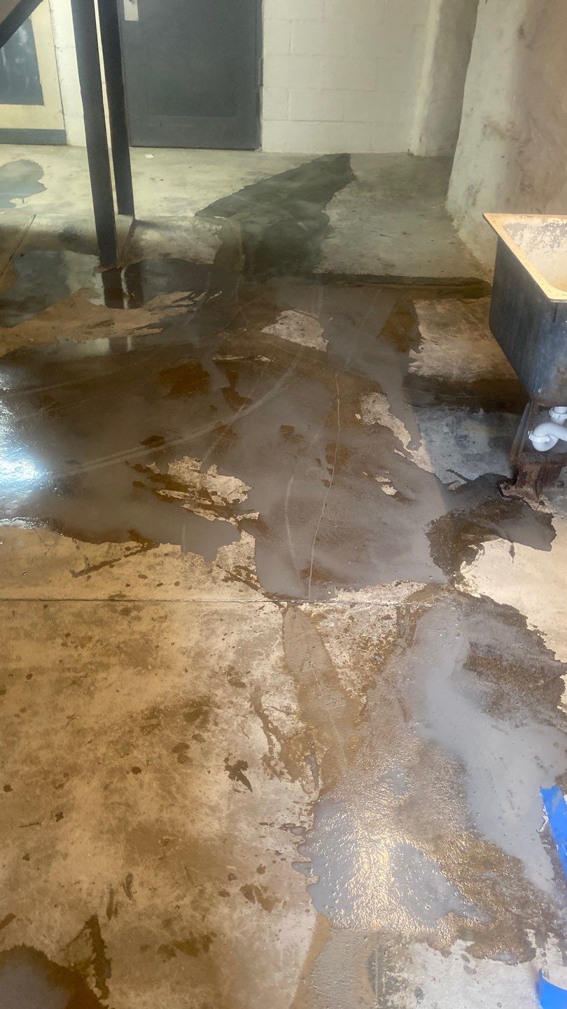 Cat Hospital Project in Pittsburgh by Floors in a Day, Inc