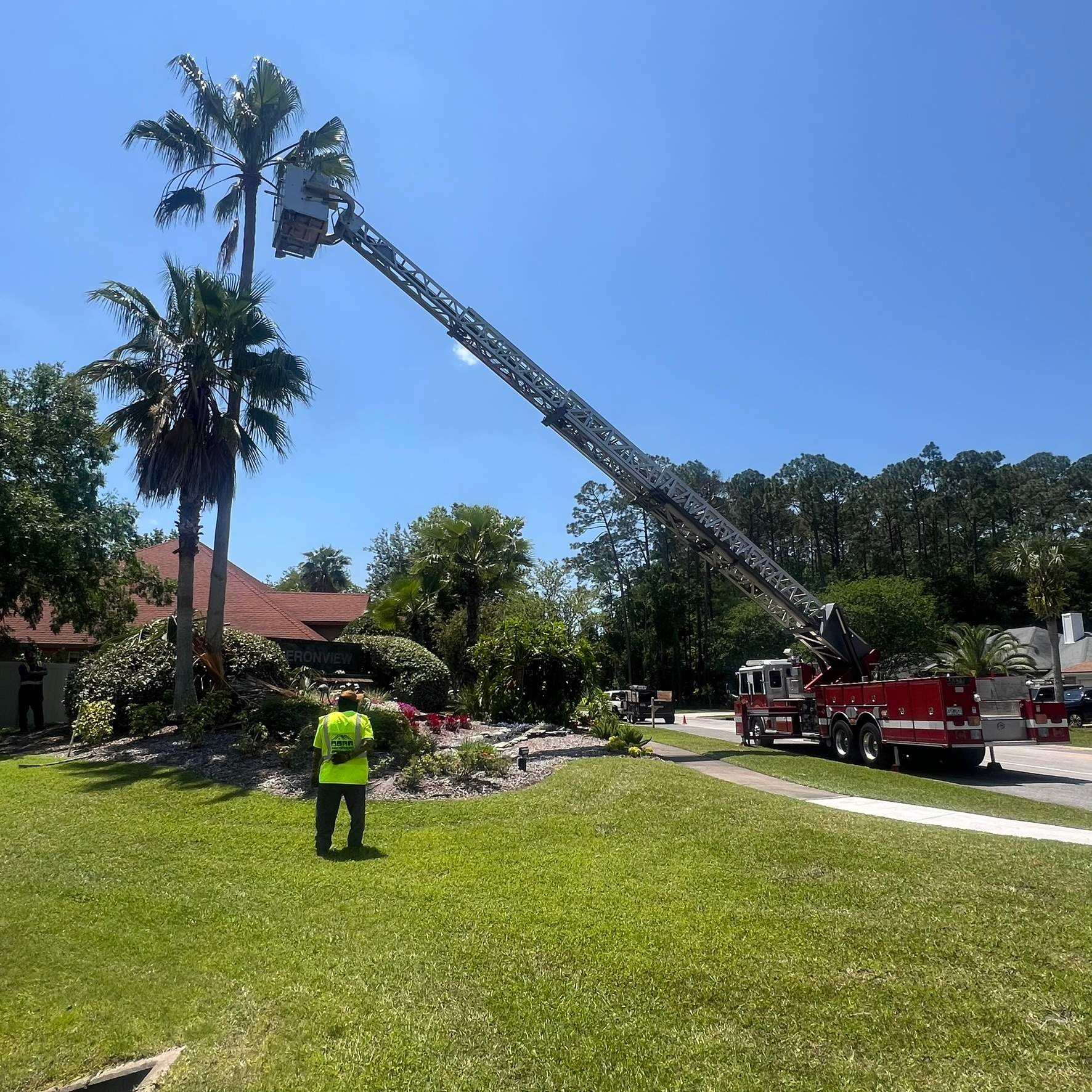Tree Work | Heronview HOA by ProGreen Services