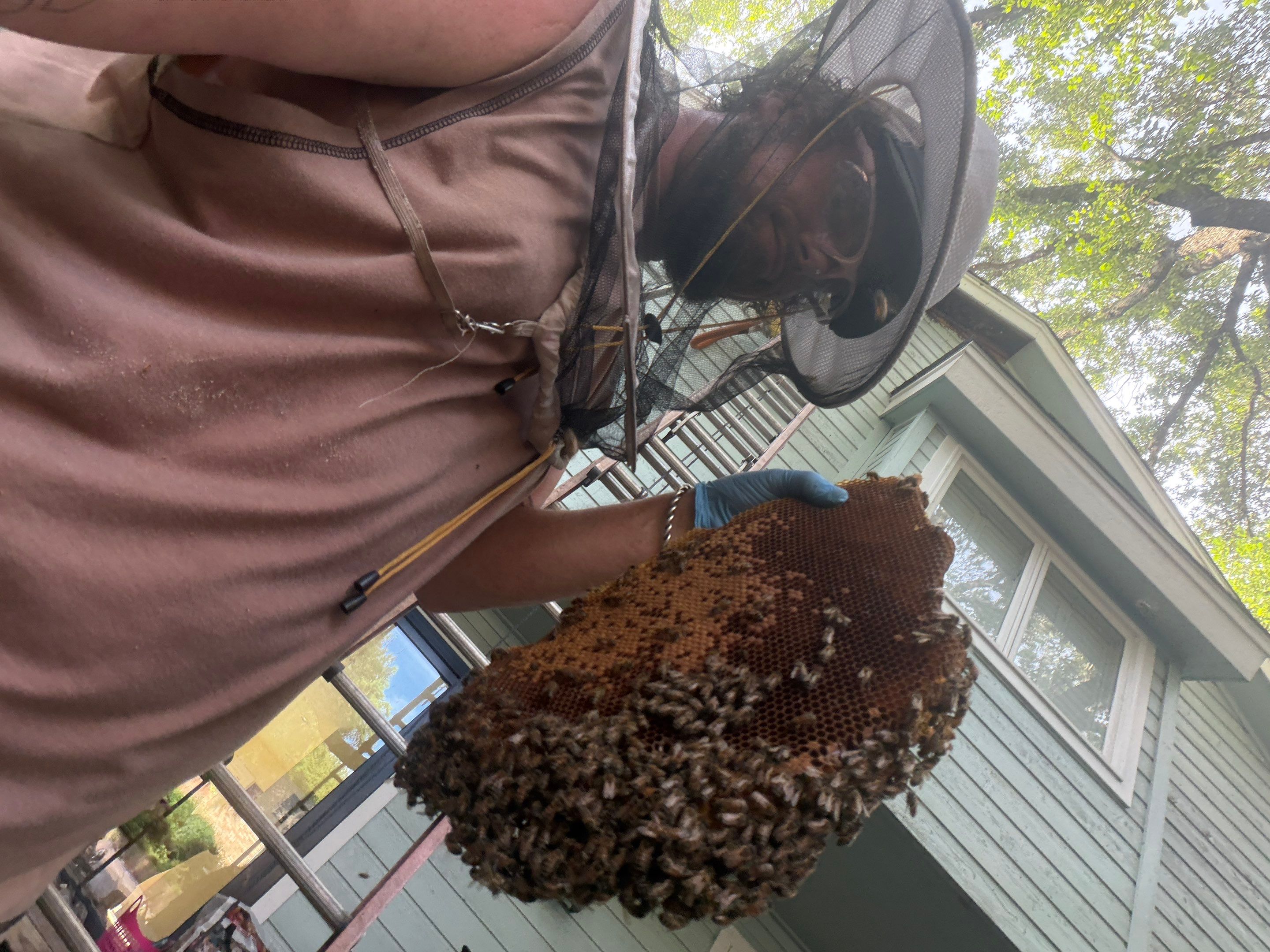 High Peak Bees by Rockwall Honey Bee Company