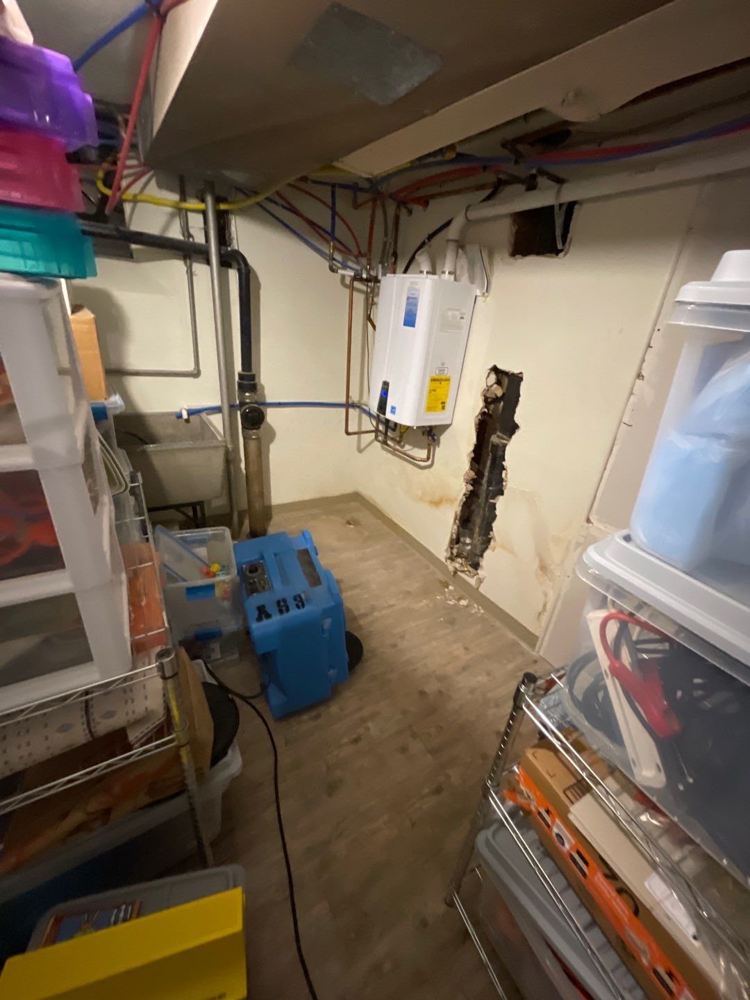 Mold Remediation by Accountable Home Services