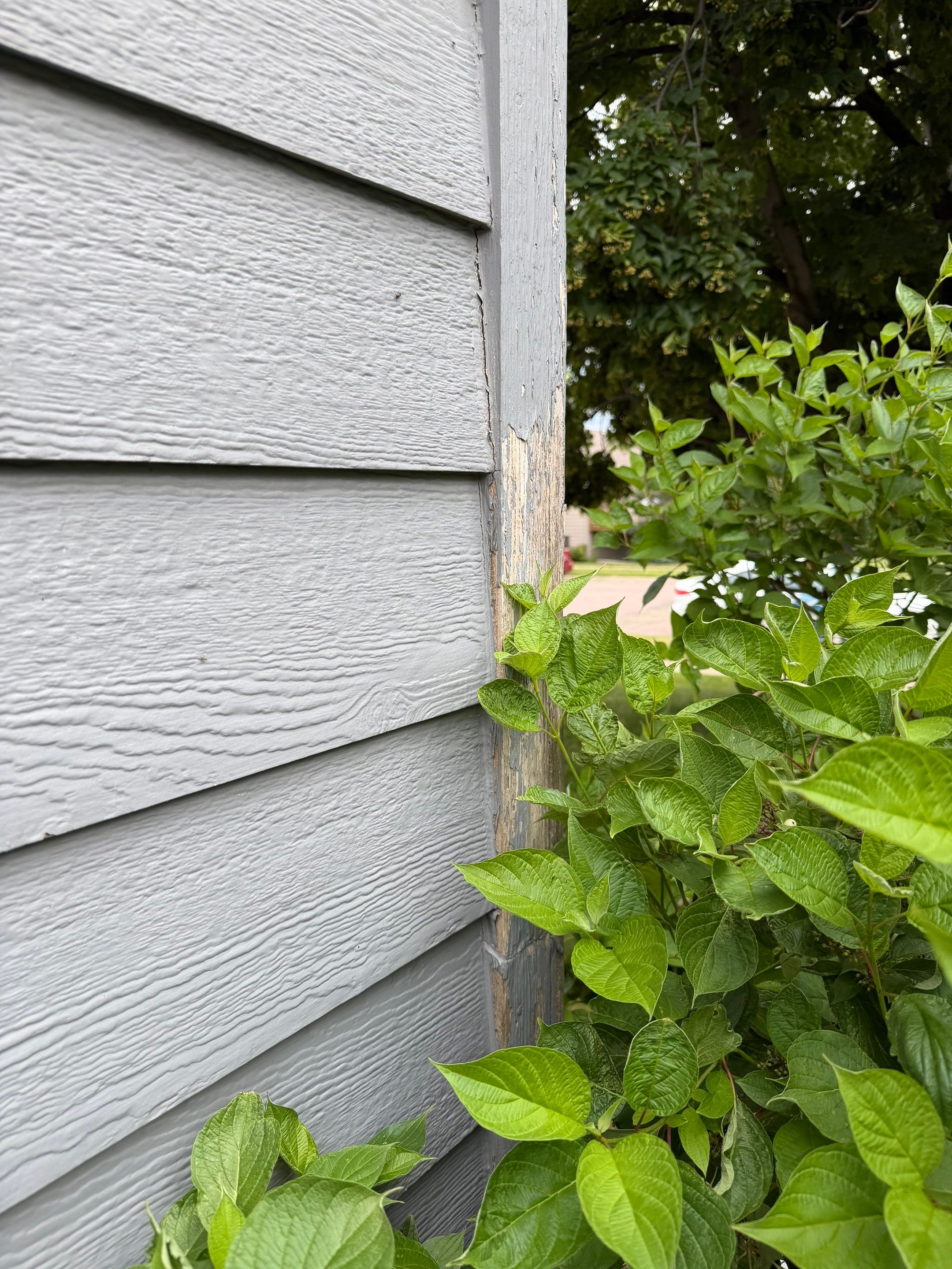 Full Exterior Painting for Gray Siding and Trim in Sioux Falls by Select Painting, Coatings & Garage Cabinets