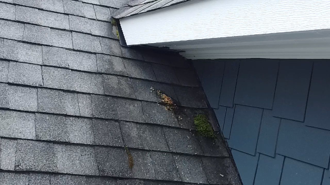 Project in Maidens by Roof Maxx of Midlothian