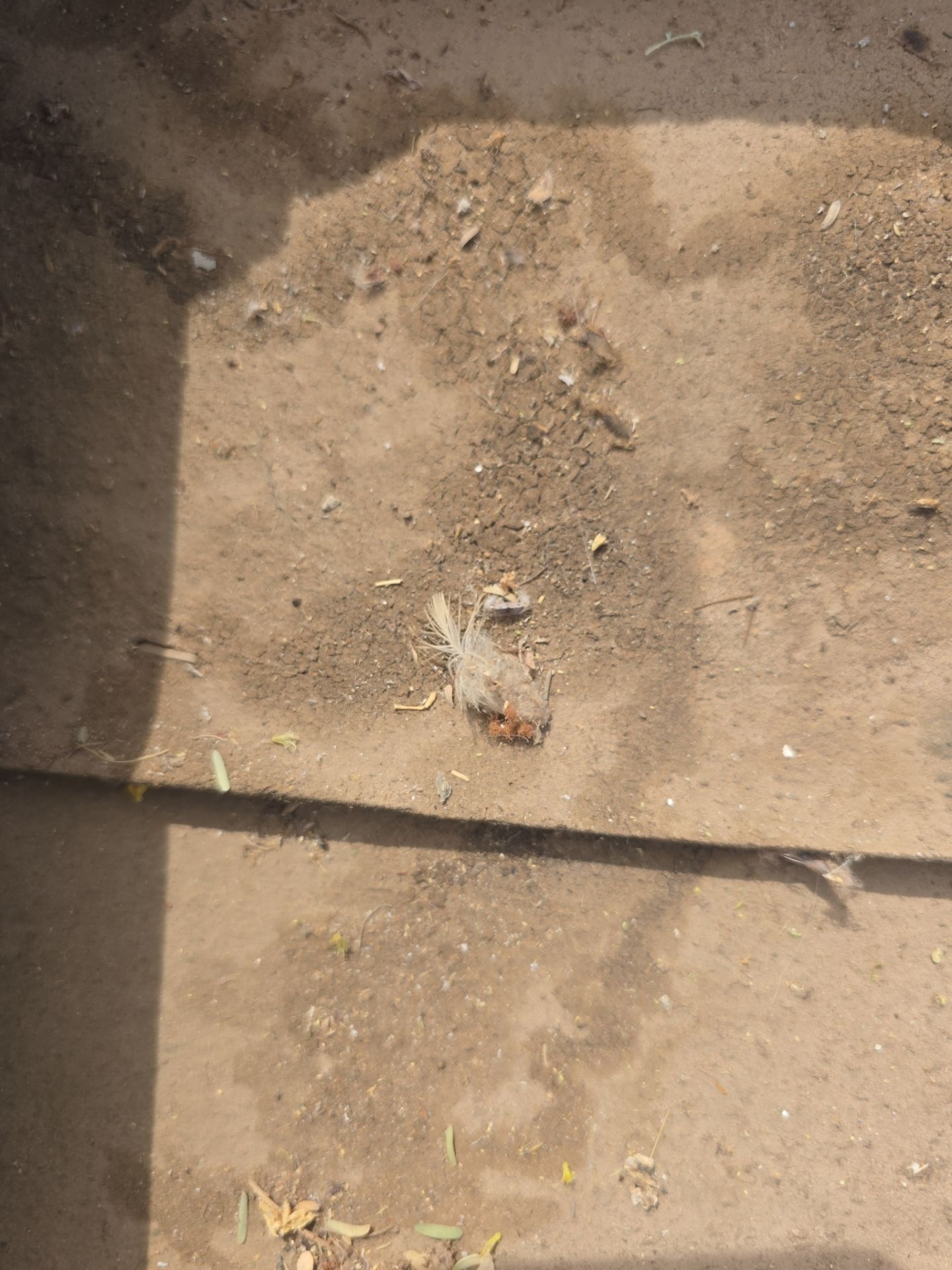 Tile reset in Gold Canyon, AZ by Weather-Tite Roofing