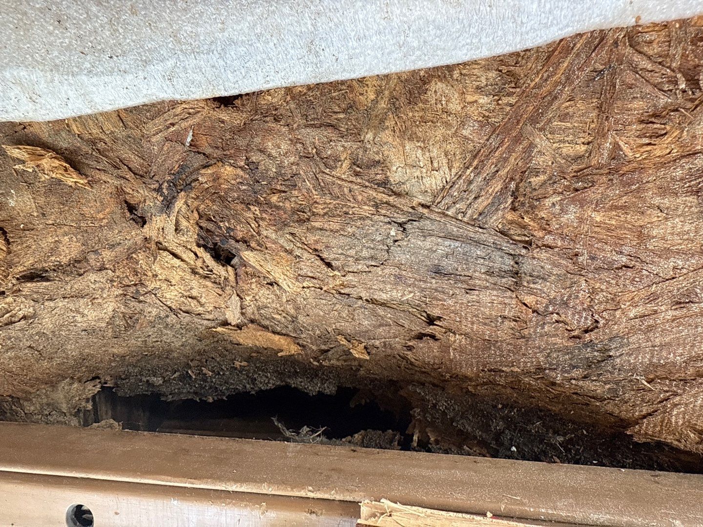 Real Estate Mold Remediation by Healthy Home Solutions