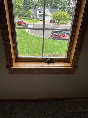 Window Replacement