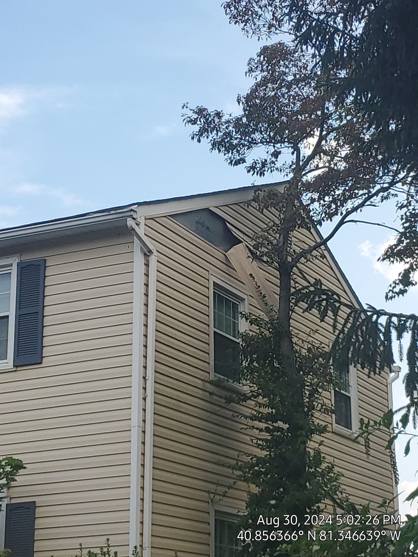 Todd Harris by Silver Leaf Contracting 
