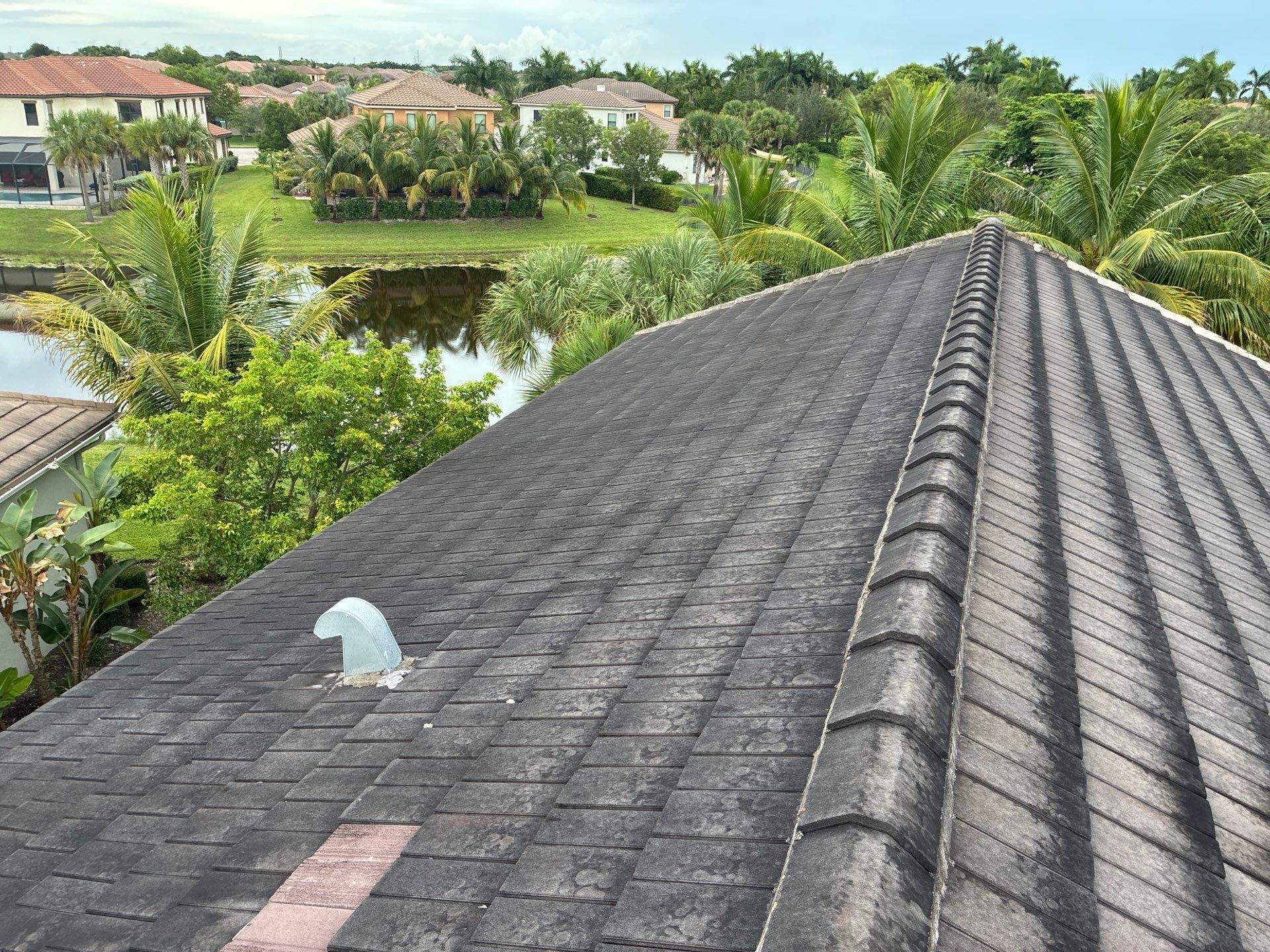 Heron Bay Parkland Painting by BKB Pressure Cleaning LLC