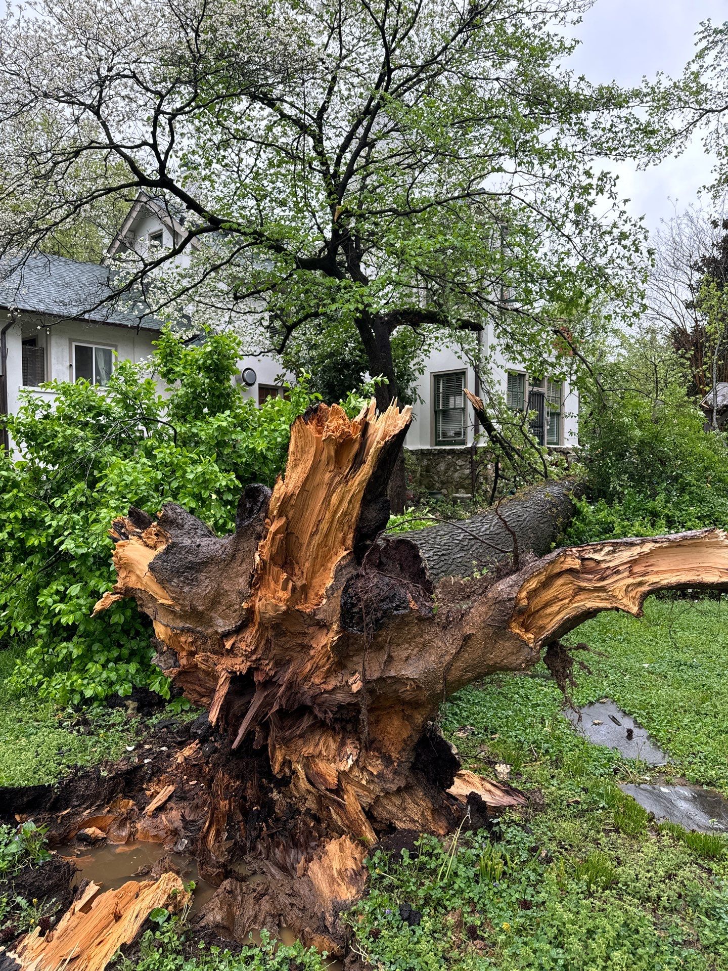 Memphis Home Restoration and Copper Gutter Installation Following Tree Damage by Revival Roofing Services