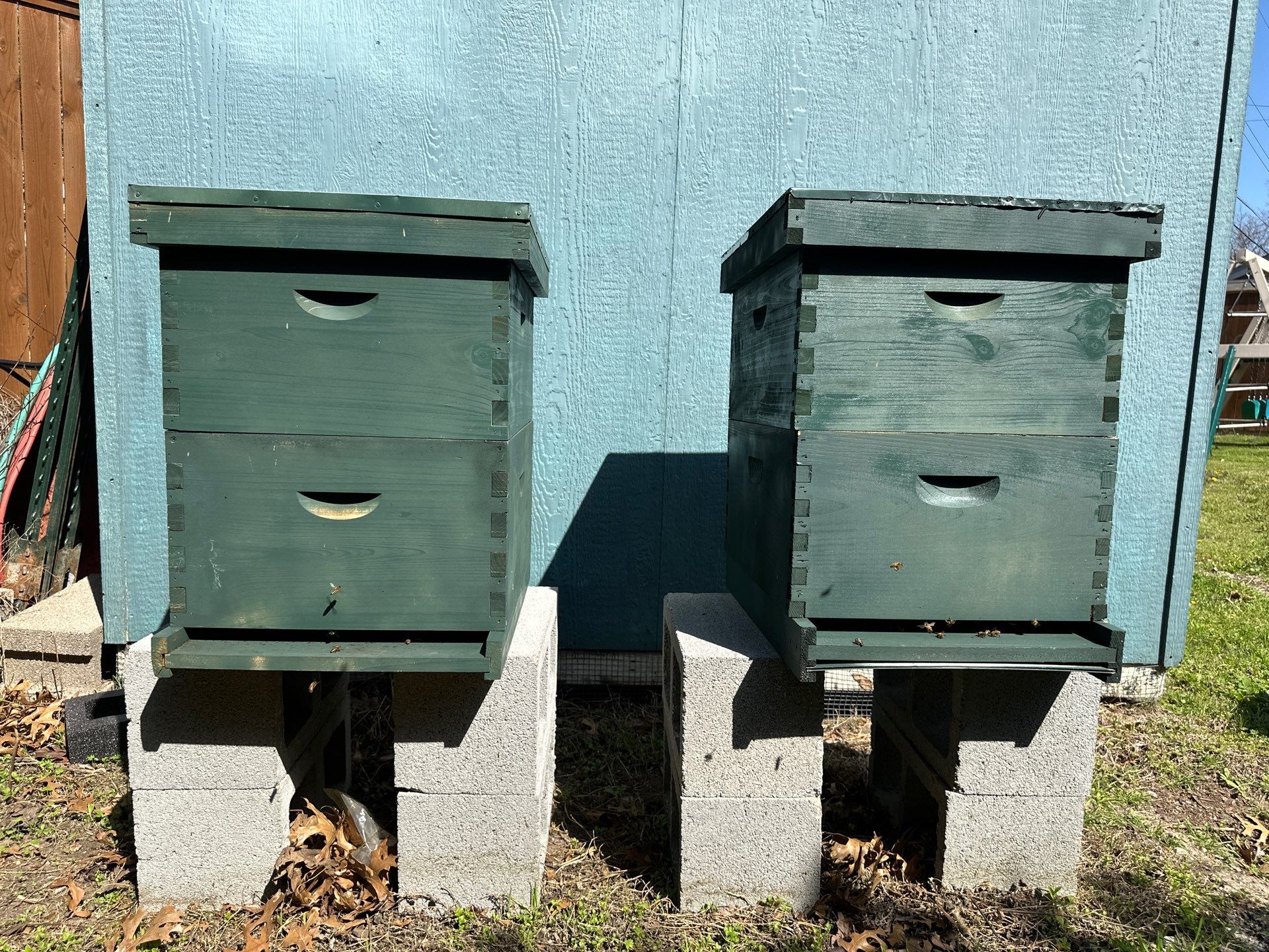 Project in Dallas by Rockwall Honey Bee Company