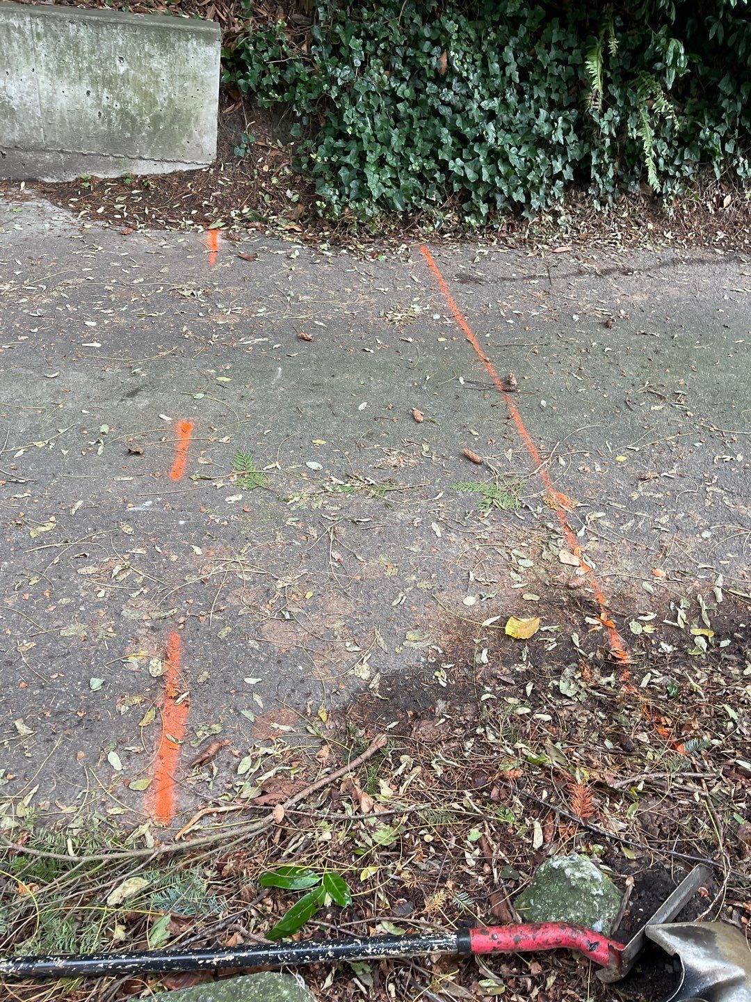 Asphalt Road Repair | Mercer Island  by Jireh Asphalt & Concrete Inc 