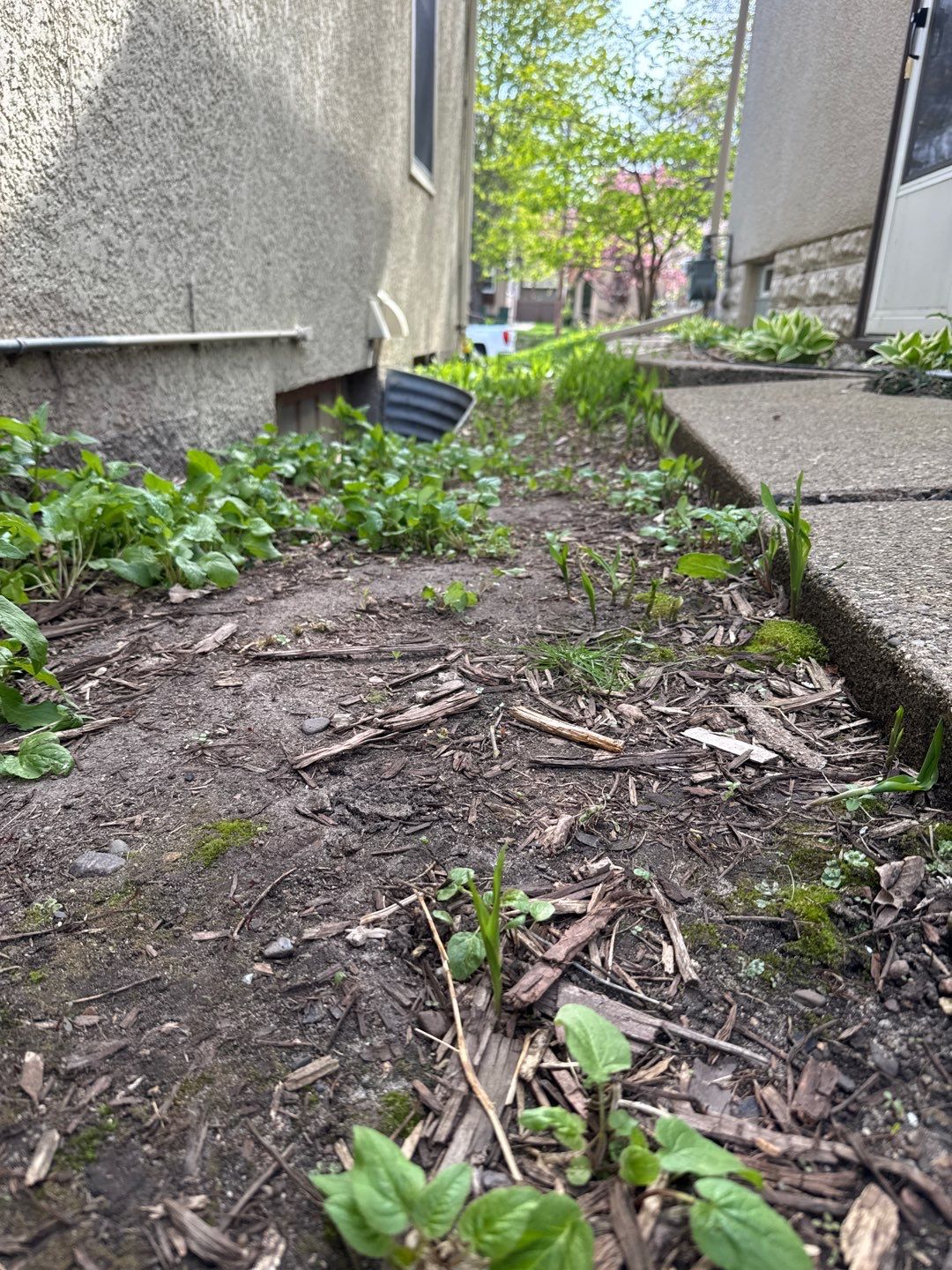 Drain Tile & Sump Pump Installation in South Minneapolis by Waterproofing Northeast