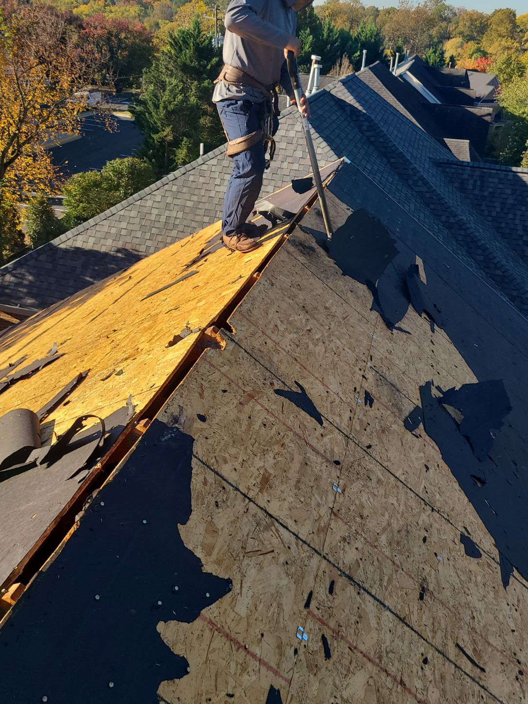 Alexandria: Residential Roof Replacement with CertainTeed Landmark Pro Designer Shingles in Max Def Moire Black by RM Banning, Inc.