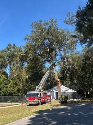 Episcopal | Large Tree Removal