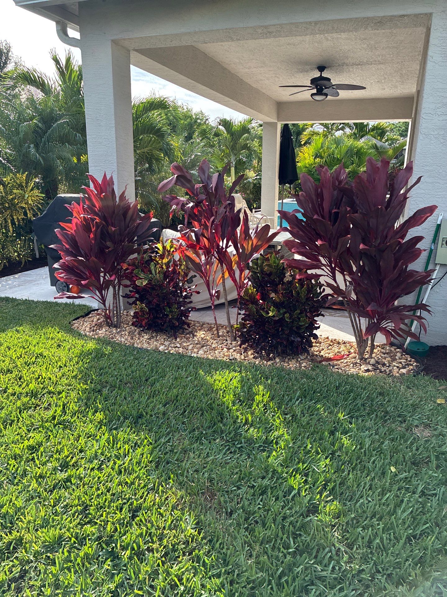 🍃 Berry Park | Detail & Refresh Project  📍 Palm City, Florida by Alpha Zeta Enterprises Inc