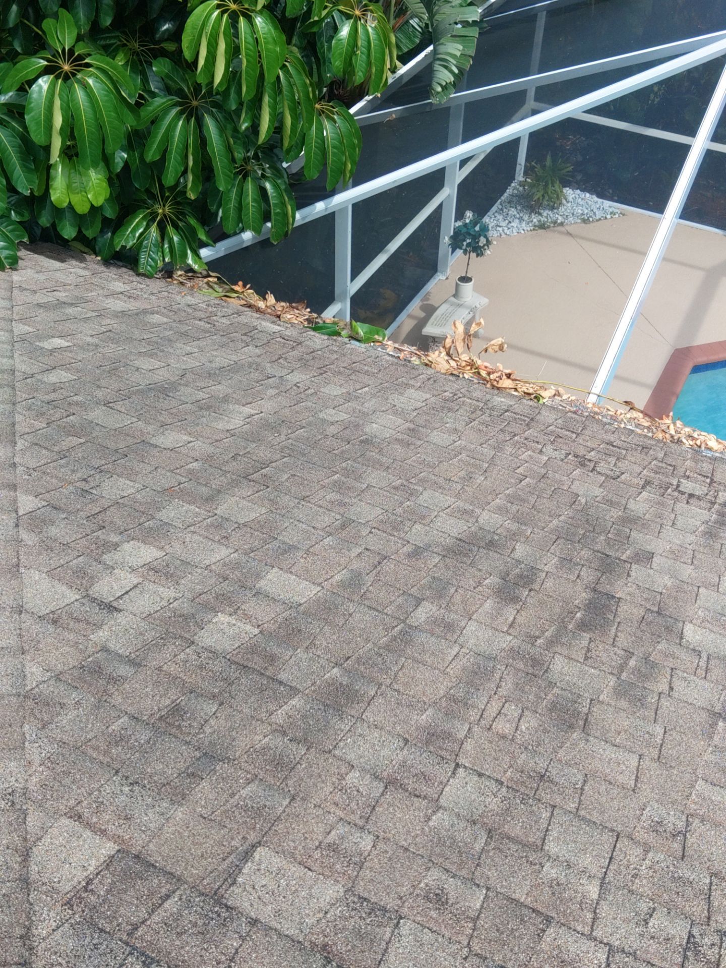 Seamless Gutter Cleaning Before the Rainy Season in Lehigh Acres, FL by Gutter Professors