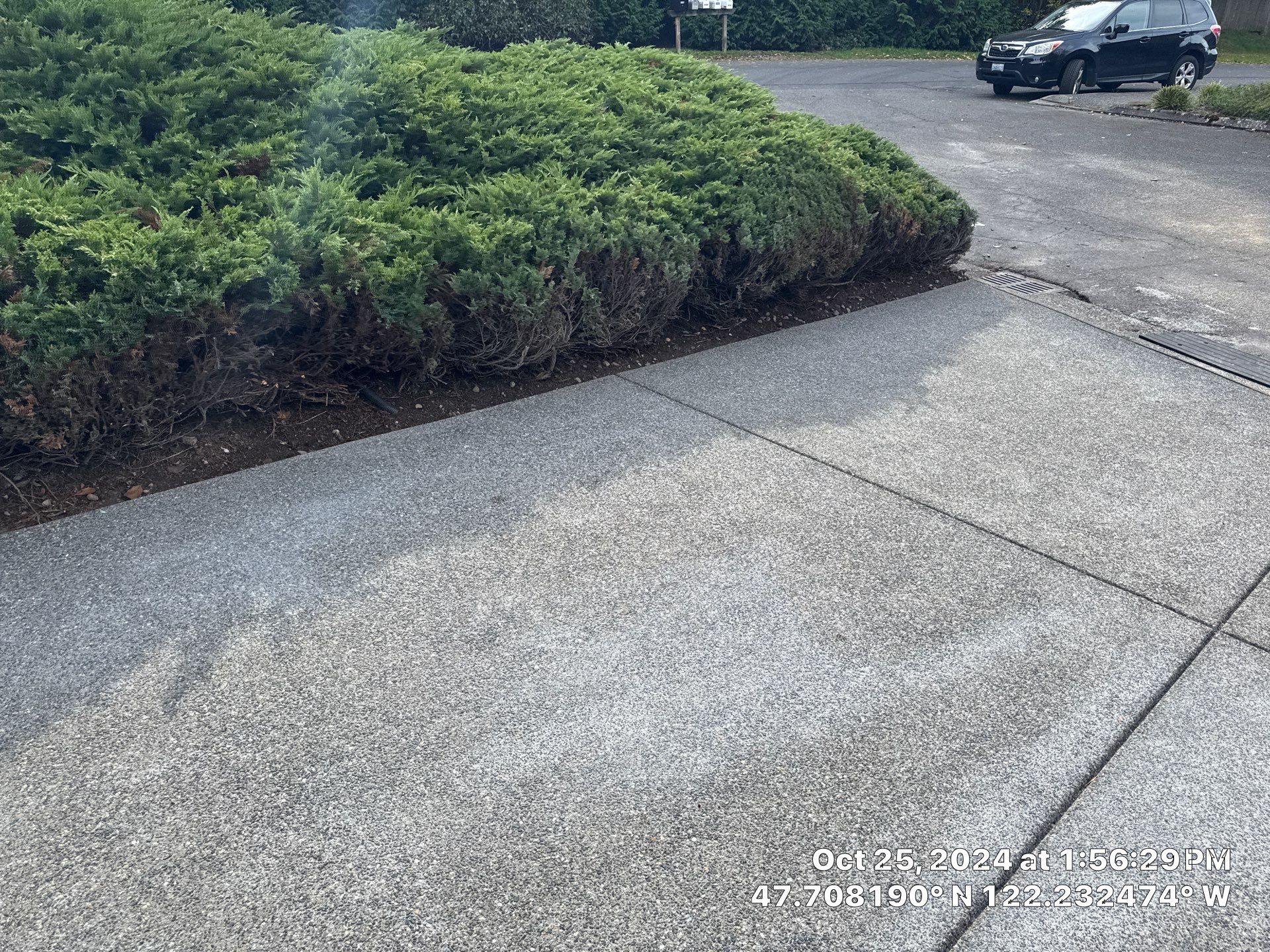 Concrete Driveway Renovation | Kirkland  by Jireh Asphalt & Concrete Inc 