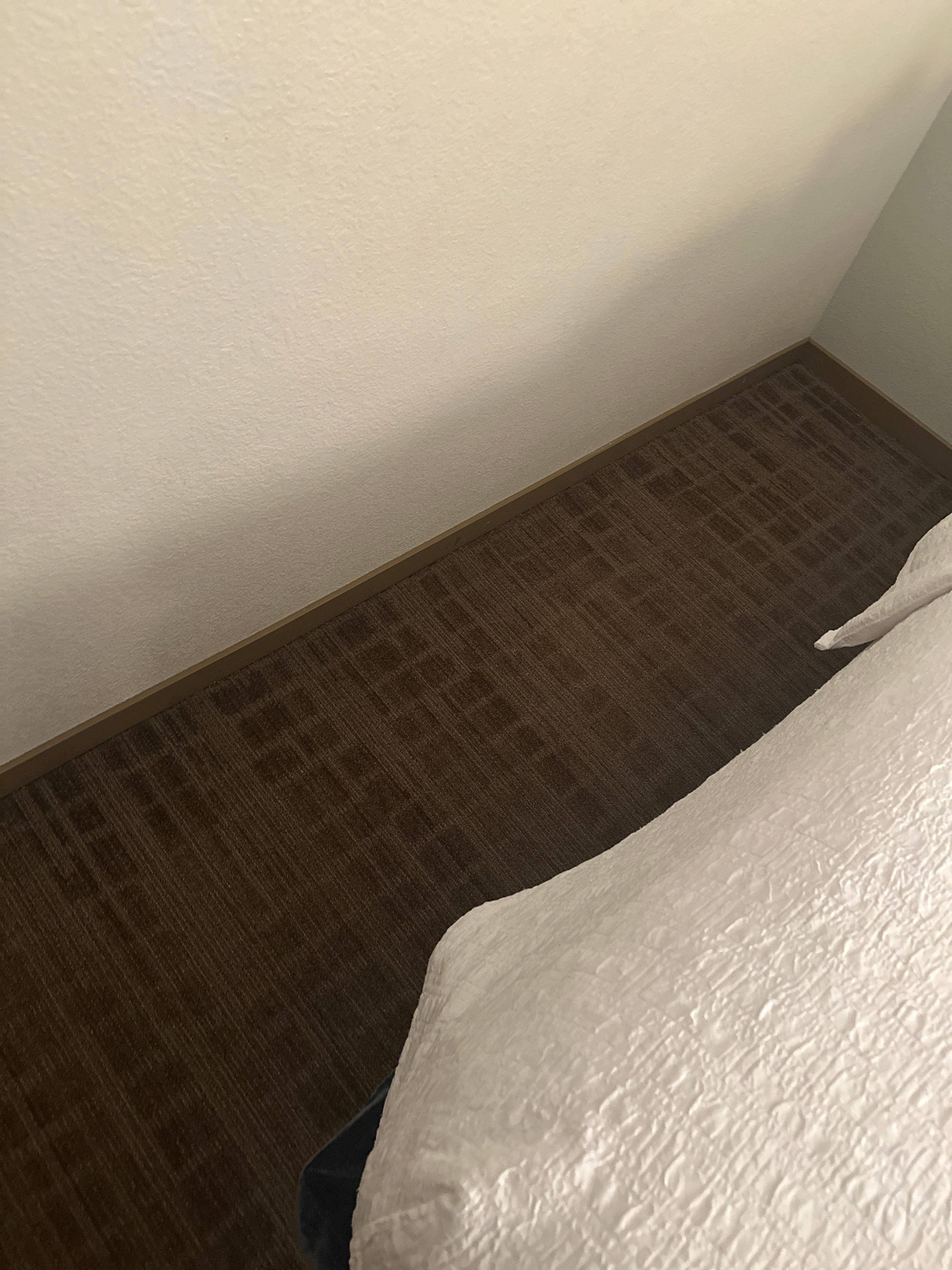 Orlando Guest Room Interior Renovation with New Flooring and Fixtures by CompanyCam Sales Demo