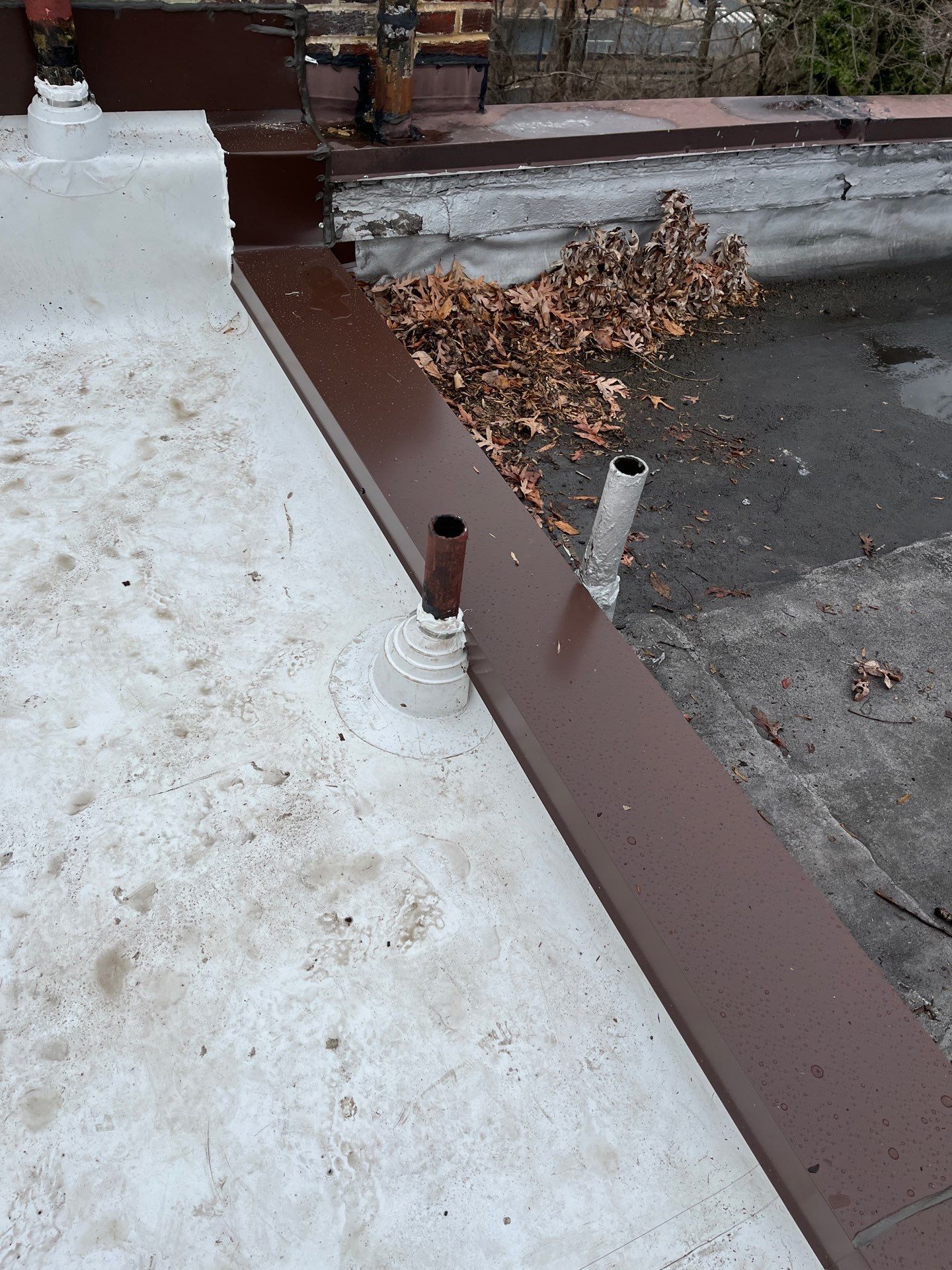 Arlington Flat TPO Roof Installation by RM Banning, Inc.