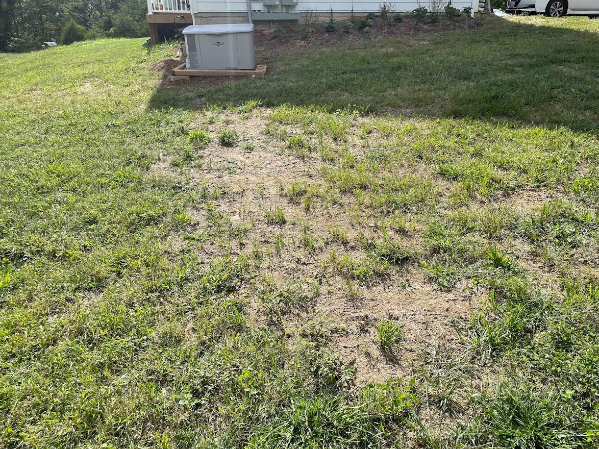 Clay street  by Back To Nature Landscaping & Construction