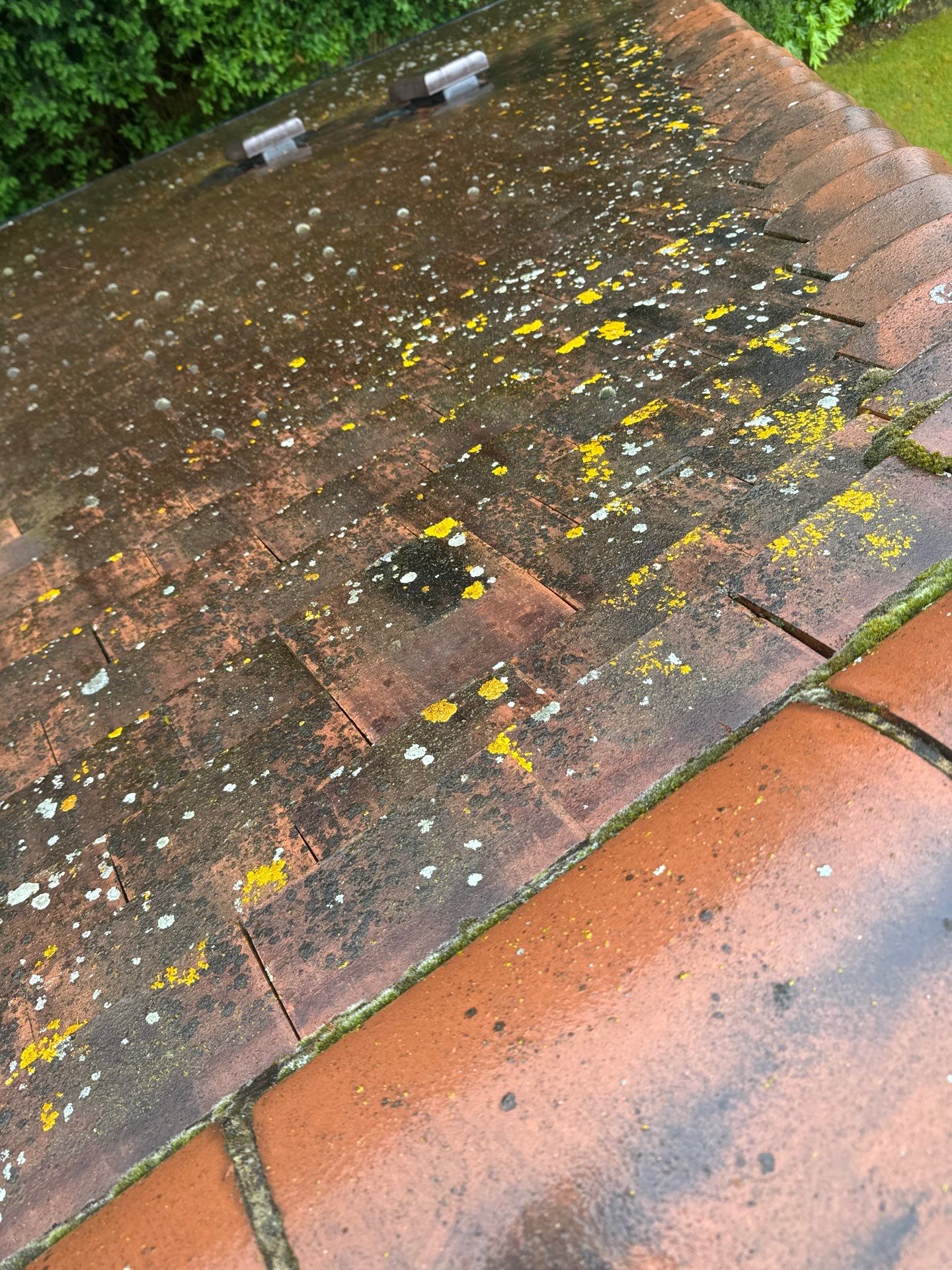 Roof Clean  - Moss Removal - Gutter Clean using Honda 15lpm Low Pressure Washing Machine by Ges Exterior Cleaning ltd