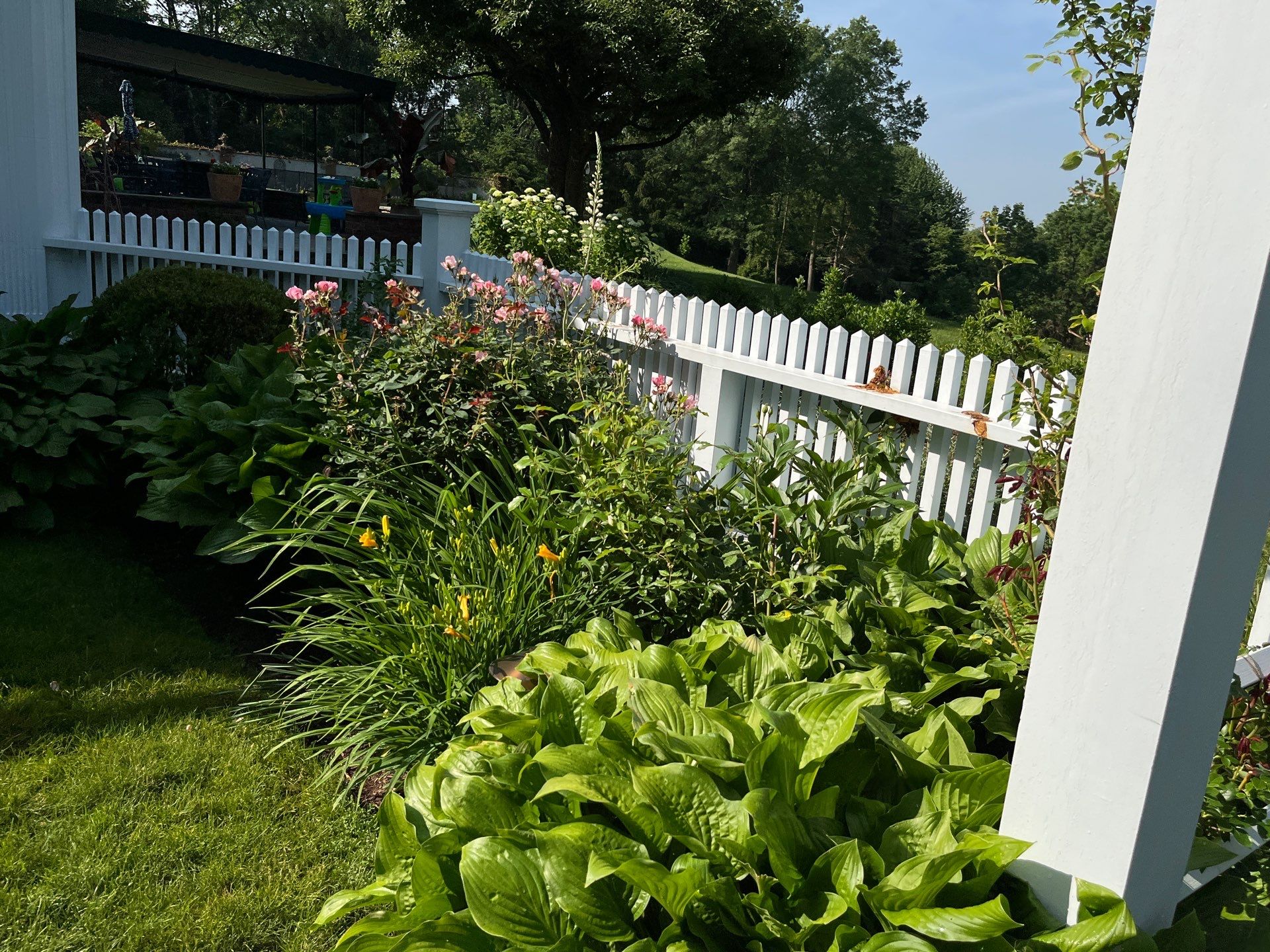 Professional Lawn Care for Far Hills Estate by Ants Plants