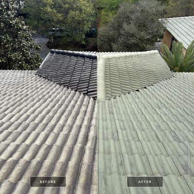 Tile Roof Cleaning