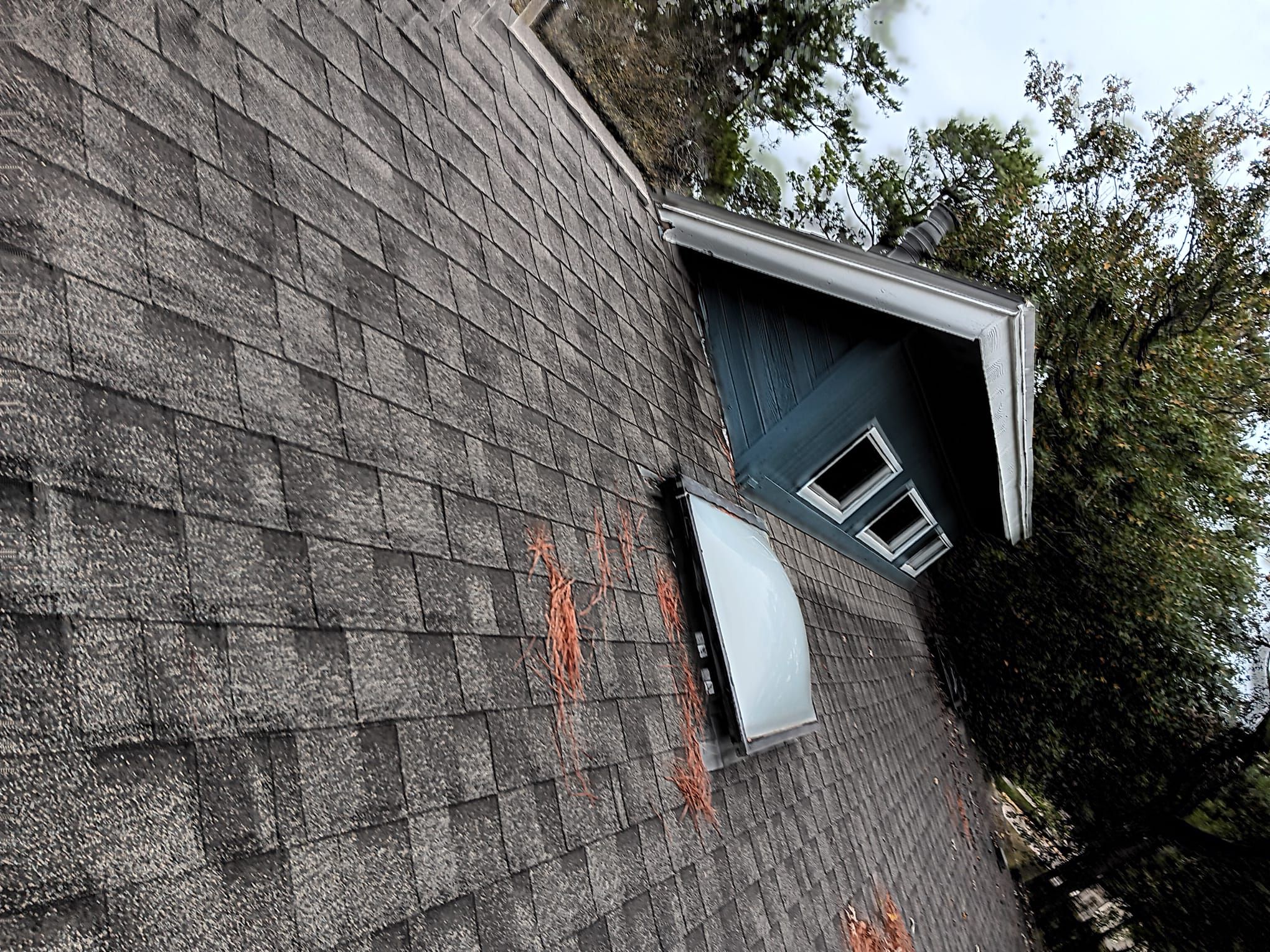 Roof Repair Spring by Roof Repair Company