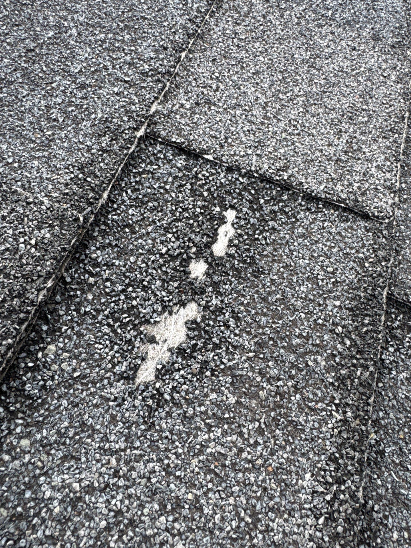 Project in Vancouver by Trenick Roofing 