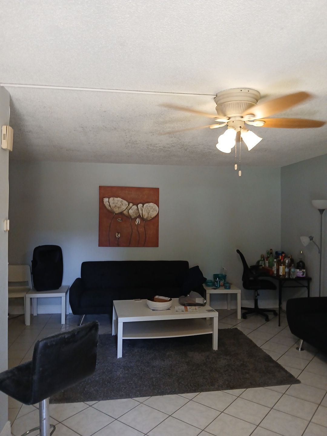 Mold Remediation and Moisture Detection Services in West Palm Beach by SuperClean