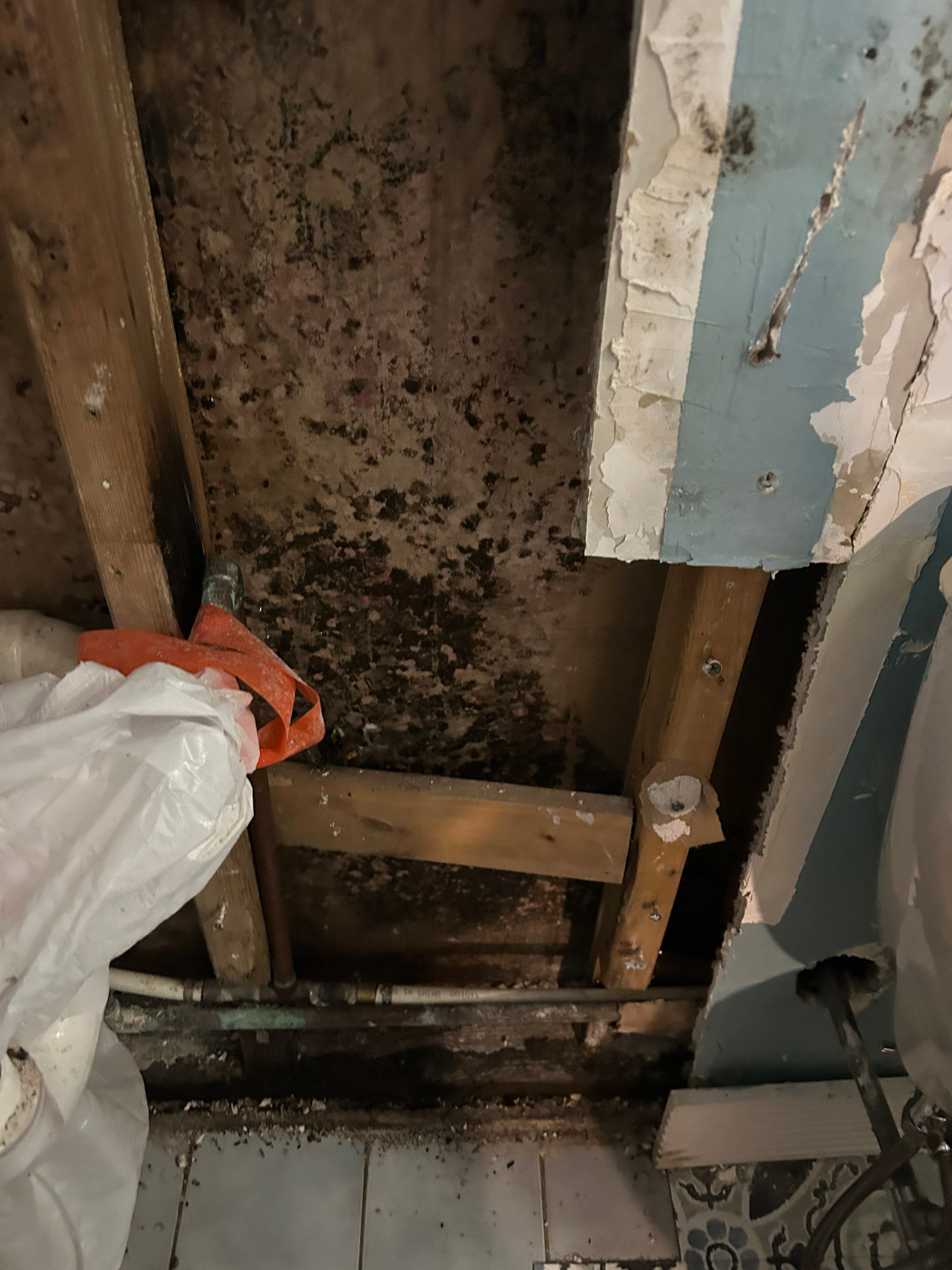 Mold Remediation in Bethpage NY by long island mold guy