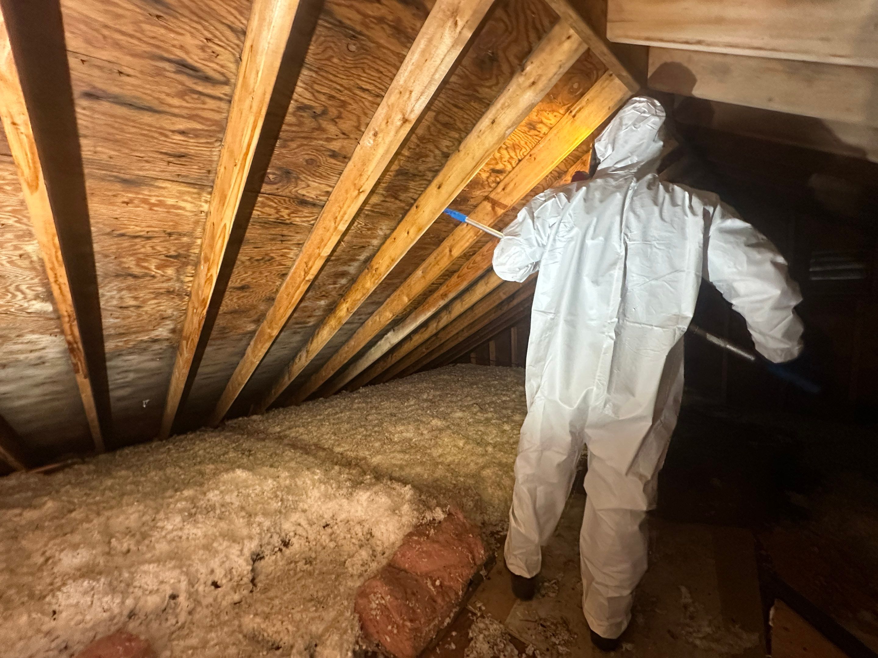 Attic Mold Remediation by Home Guarantee, LLC