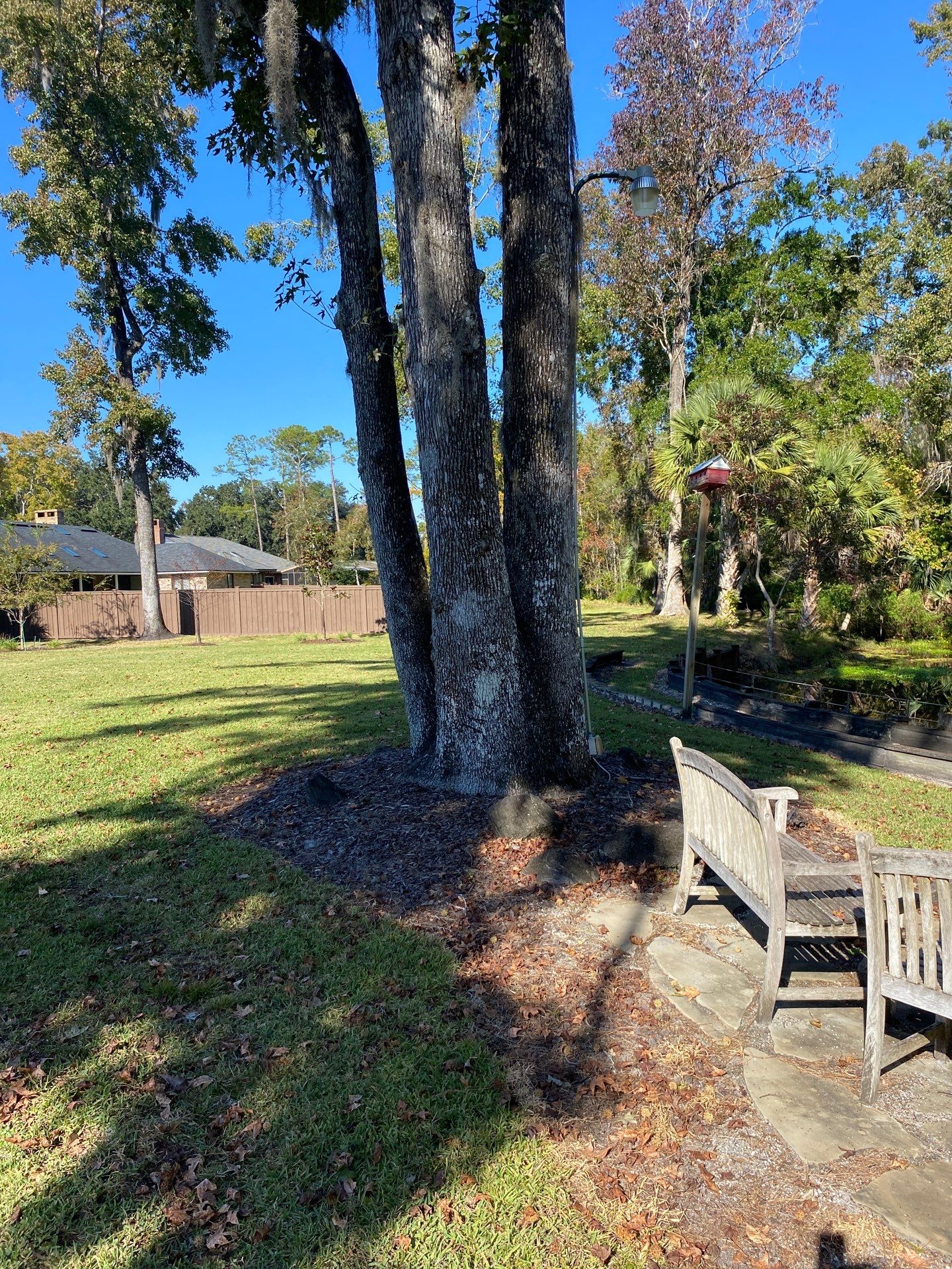 Deerwood Resident | Extreme Clean Up by ProGreen Services