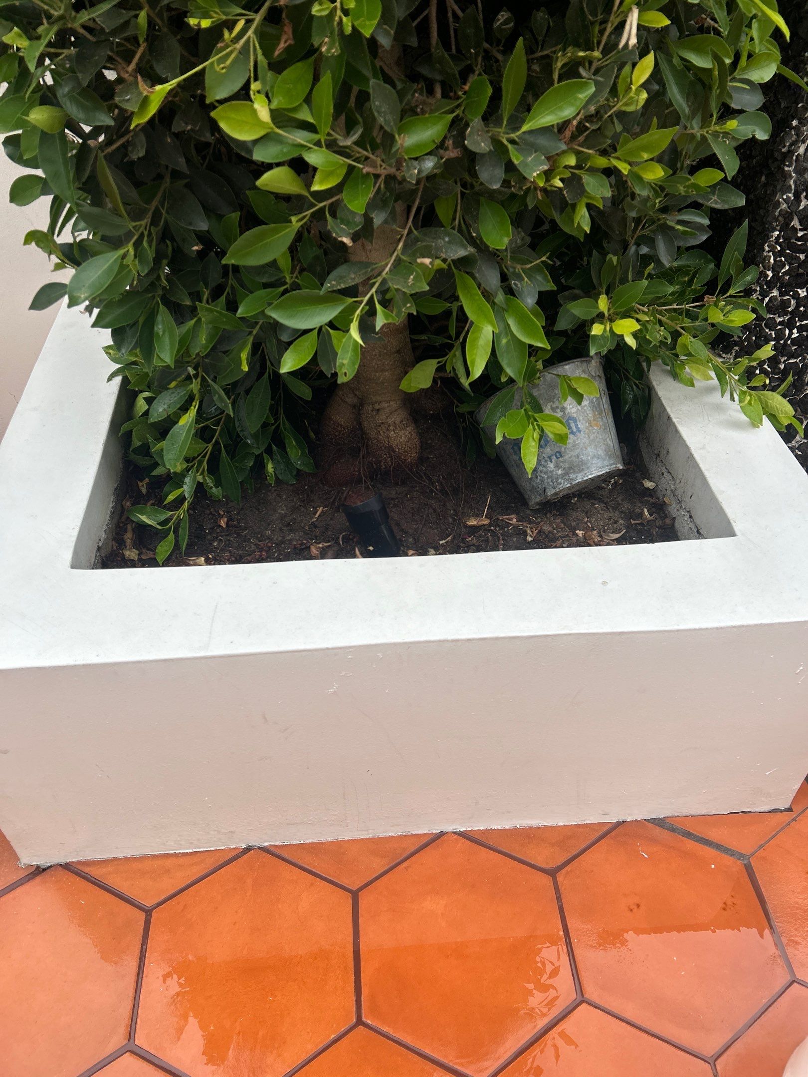 Spanish Tile Pressure Washing & Sealing – Los Angeles, CA by La Power Washing Inc
