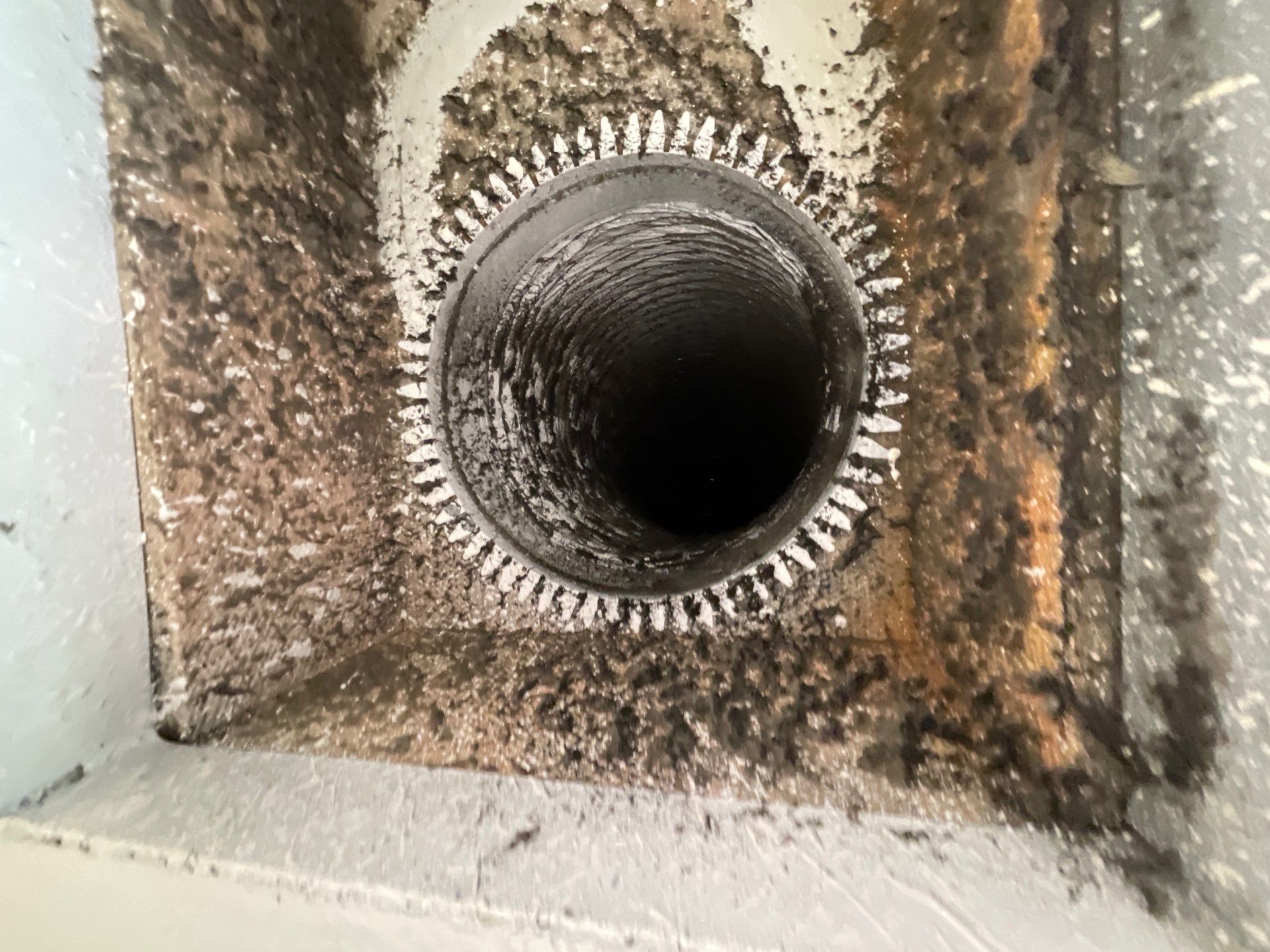 Air Duct Cleaning in Bartow by Hygienic Air, Inc