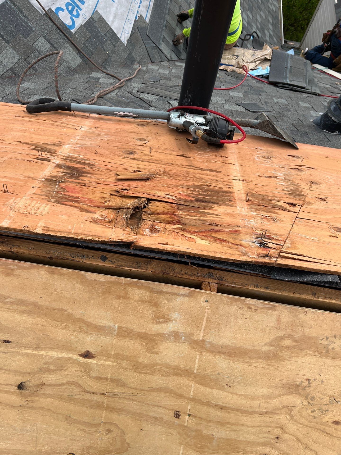 Alexandria: CertainTeed Landmark Pro Designer Shingles in Max Def Georgetown Gray by RM Banning, Inc.