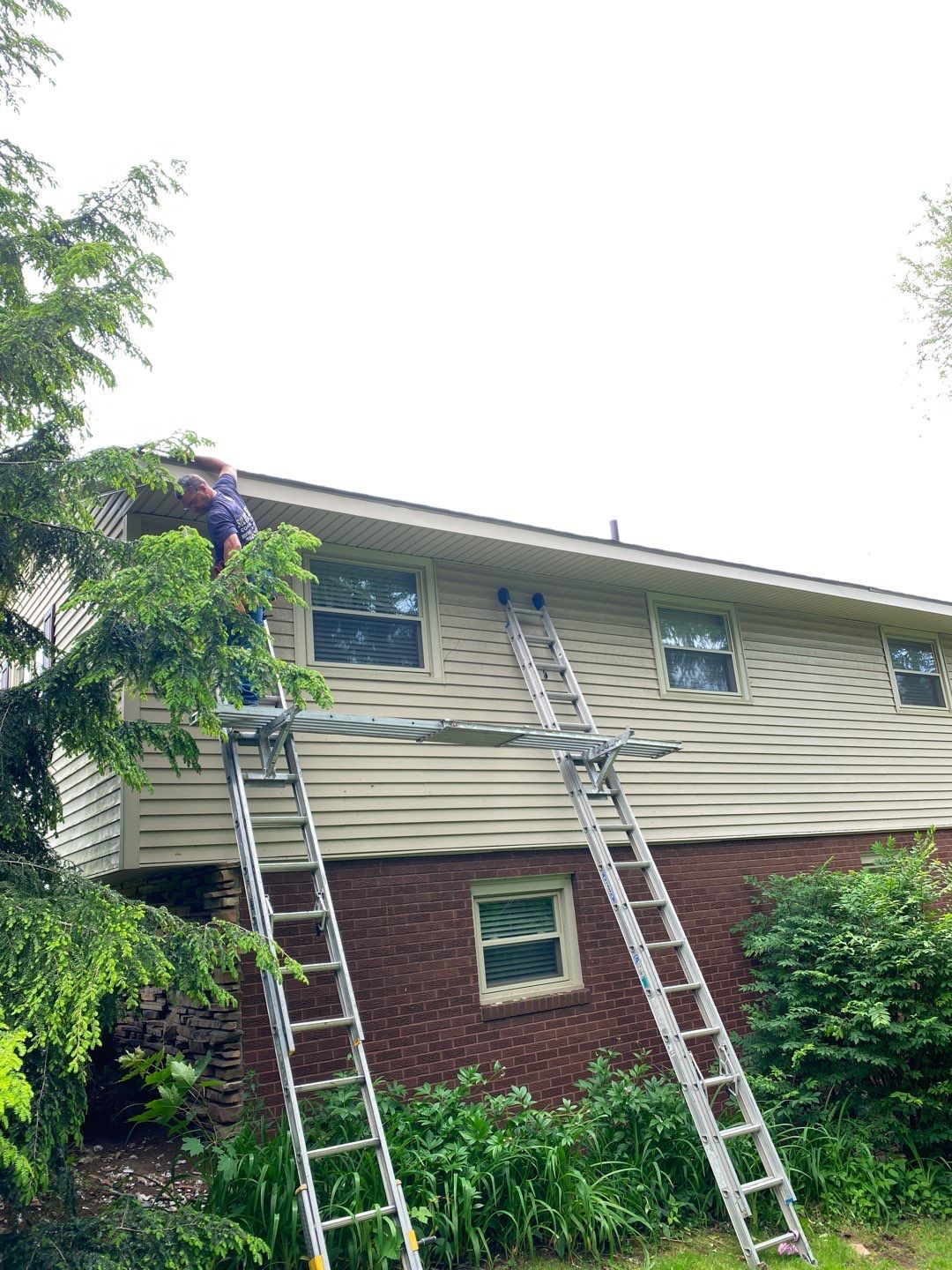 Barb Daymut by Silver Leaf Contracting 