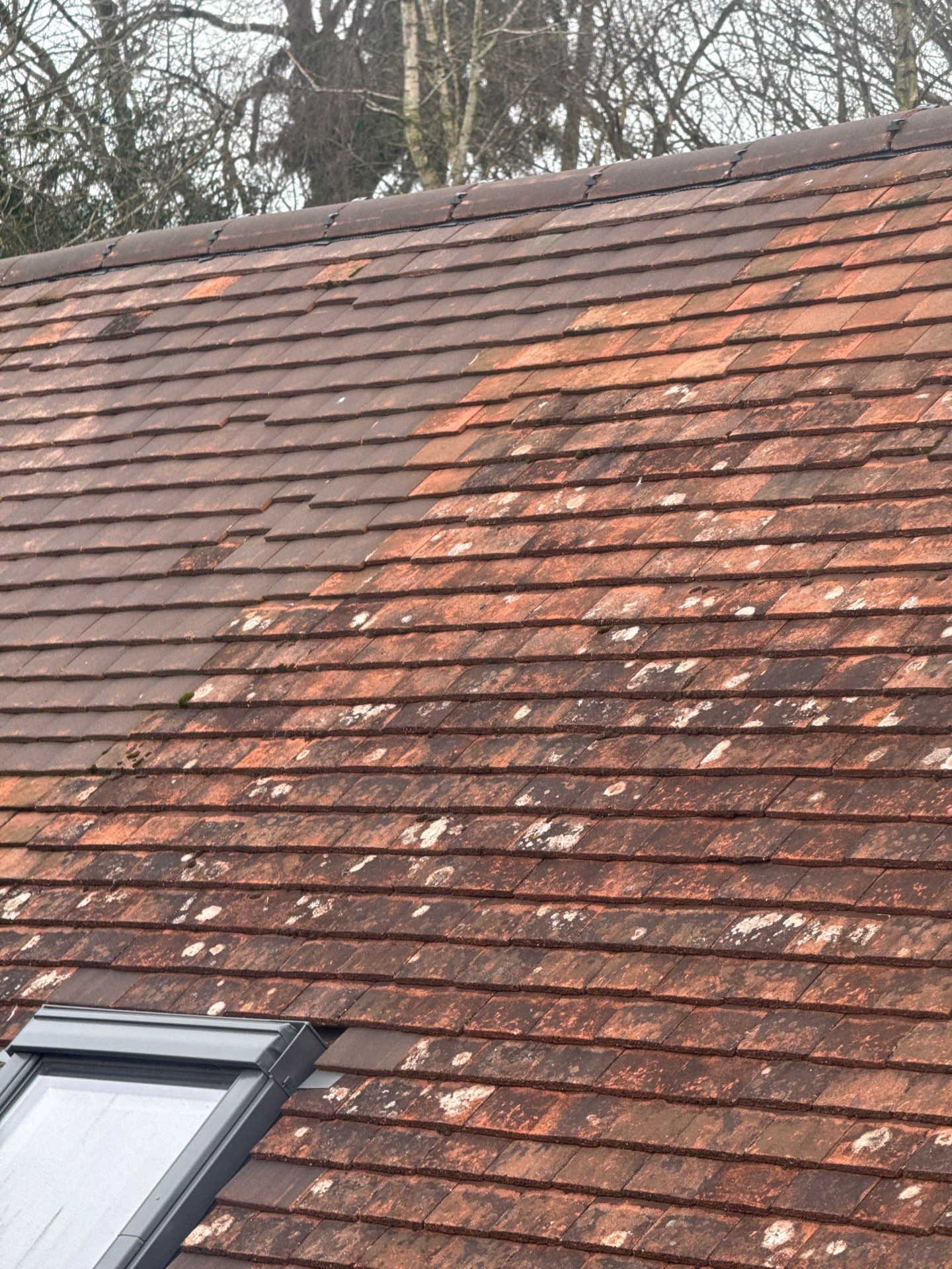 Roof Clean  - Moss Removal - Gutter Clean using Honda 15lpm Low Pressure Washing Machine by Ges Exterior Cleaning ltd